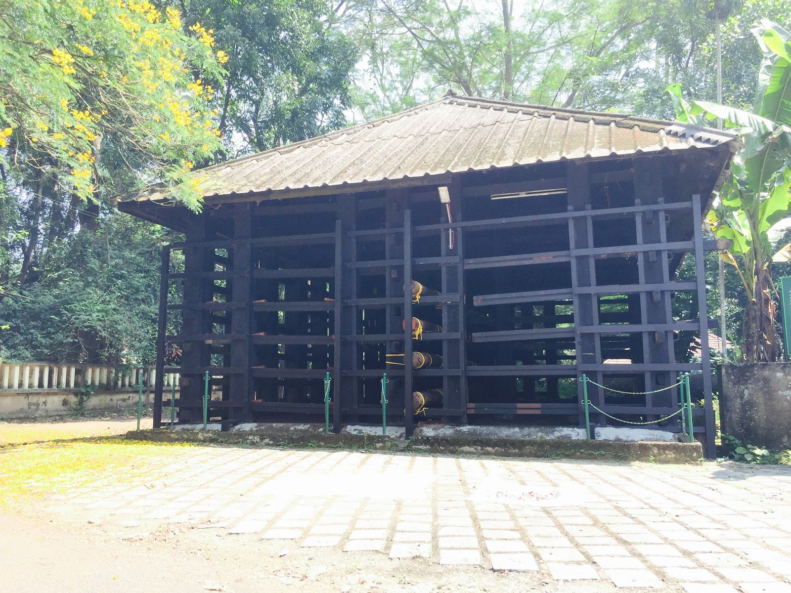 Kodanad Elephant Training Centre - Experience Elephants in Kerala