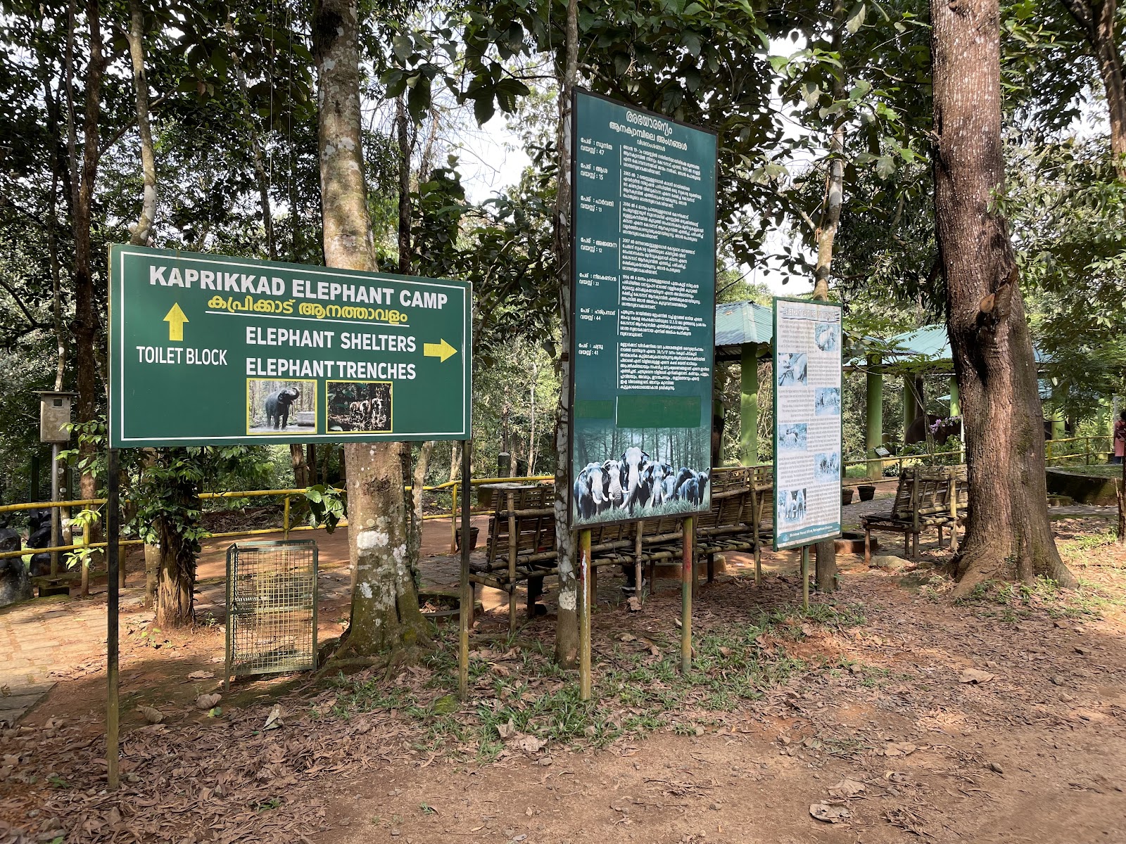 Kodanad Elephant Training Centre
