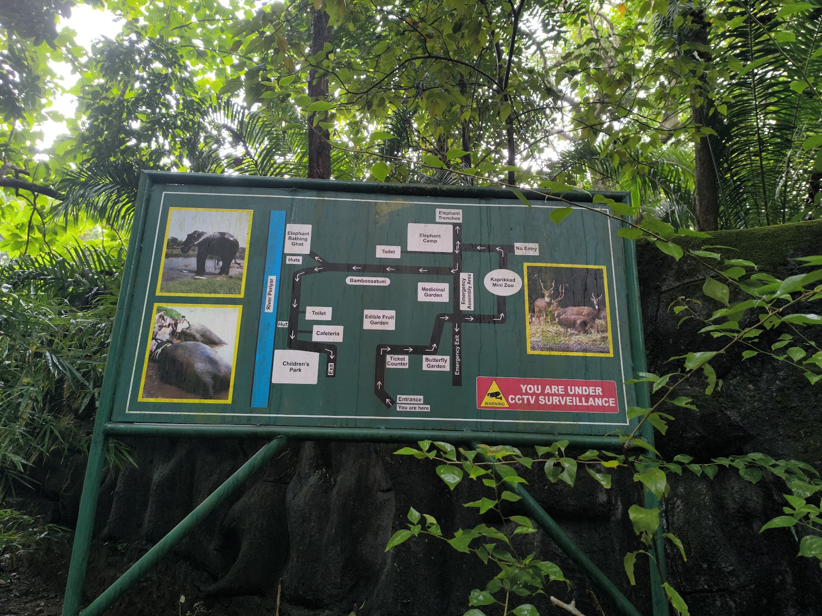 Kodanad Elephant Training Centre