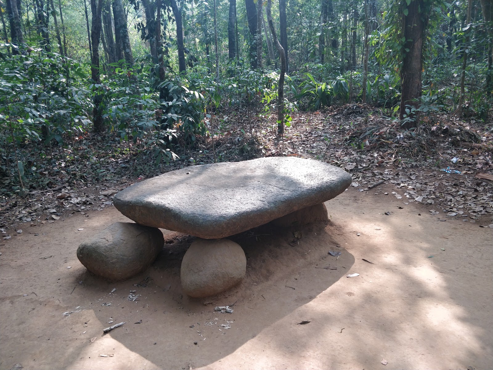 Kodanad Elephant Training Centre