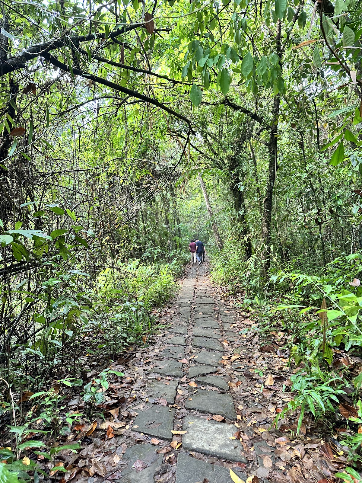 Kumarakom Bird Sanctuary