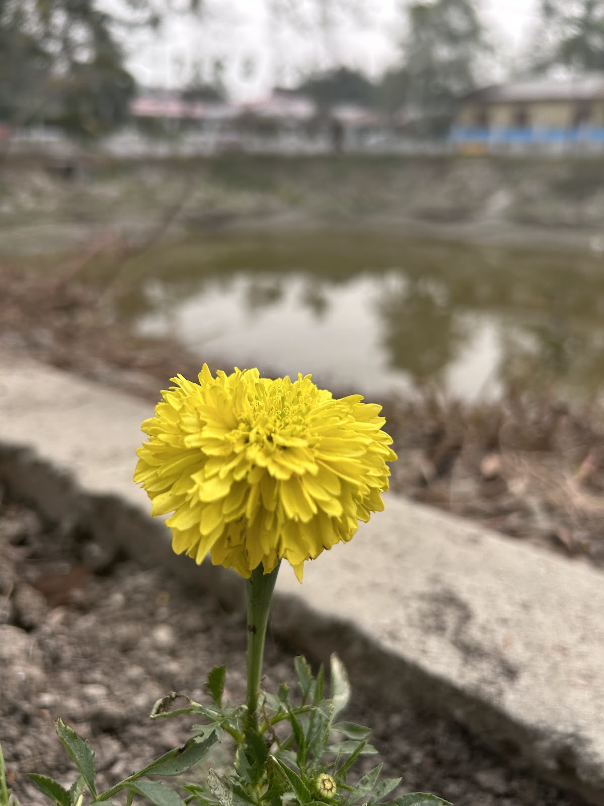 Choraikhola Eco Park
