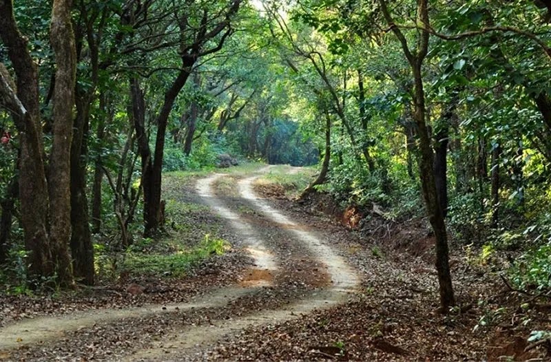 Dajipur Wildlife Sanctuary