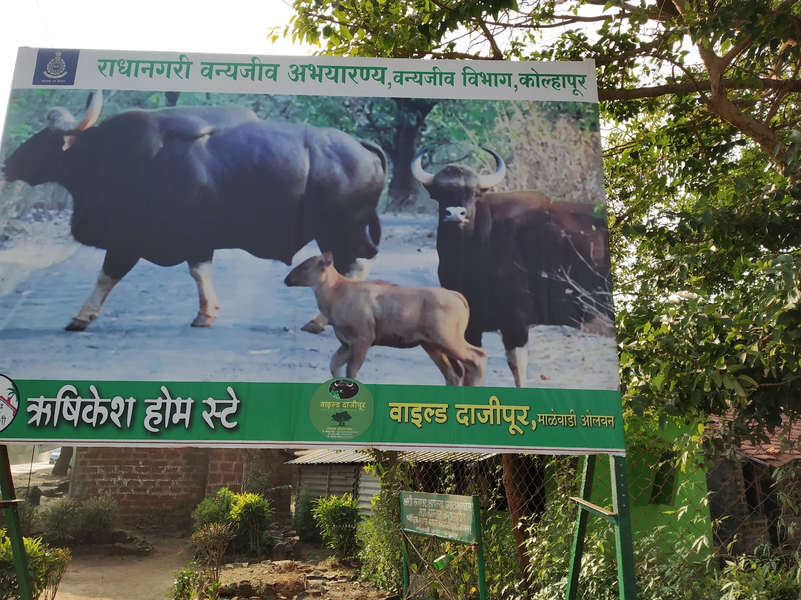 Dajipur Wildlife Sanctuary
