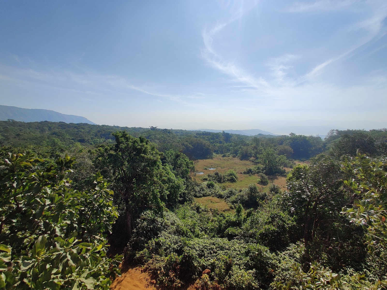 Radhanagari Wildlife Sanctuary