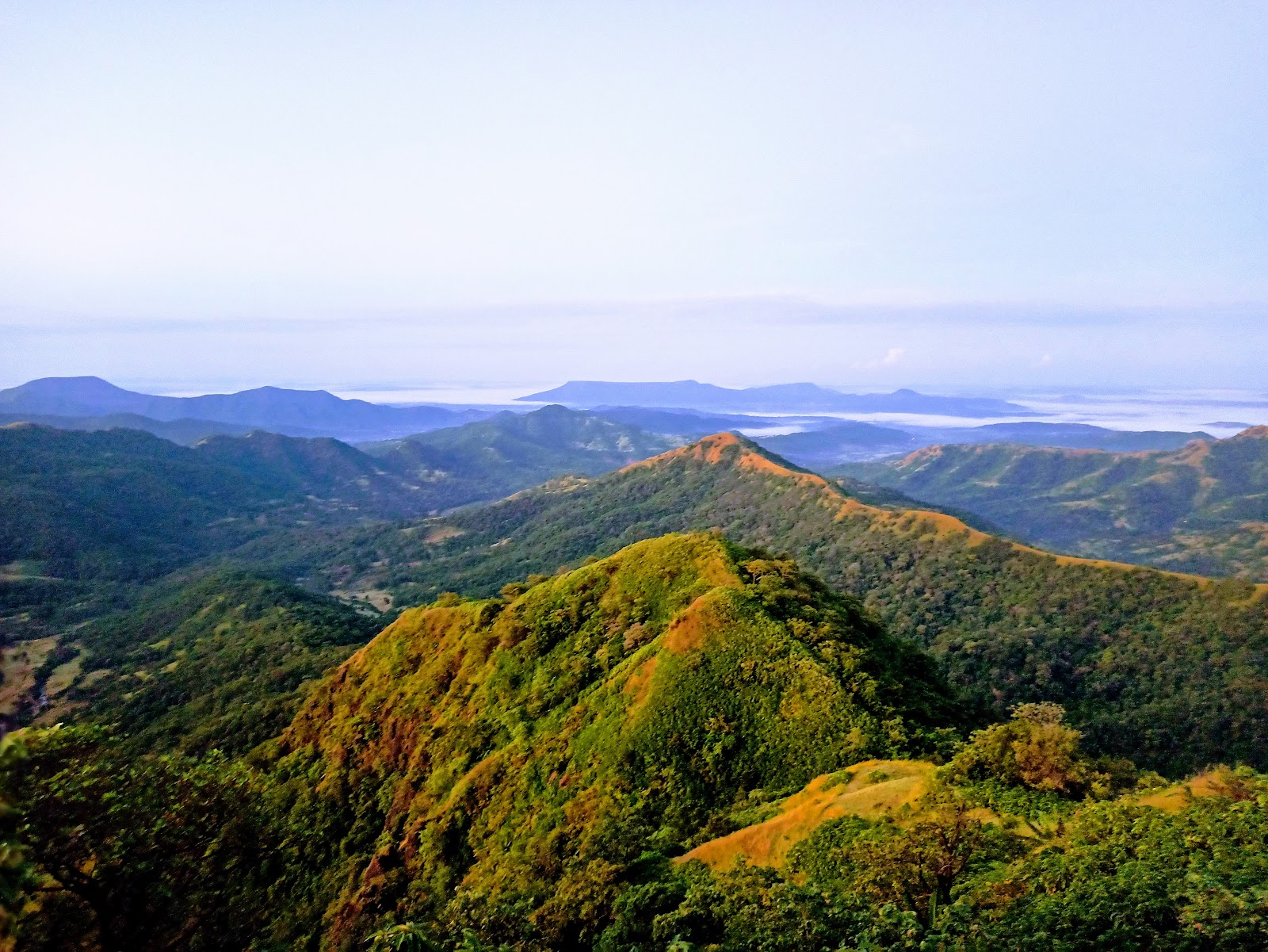 Radhanagari Wildlife Sanctuary