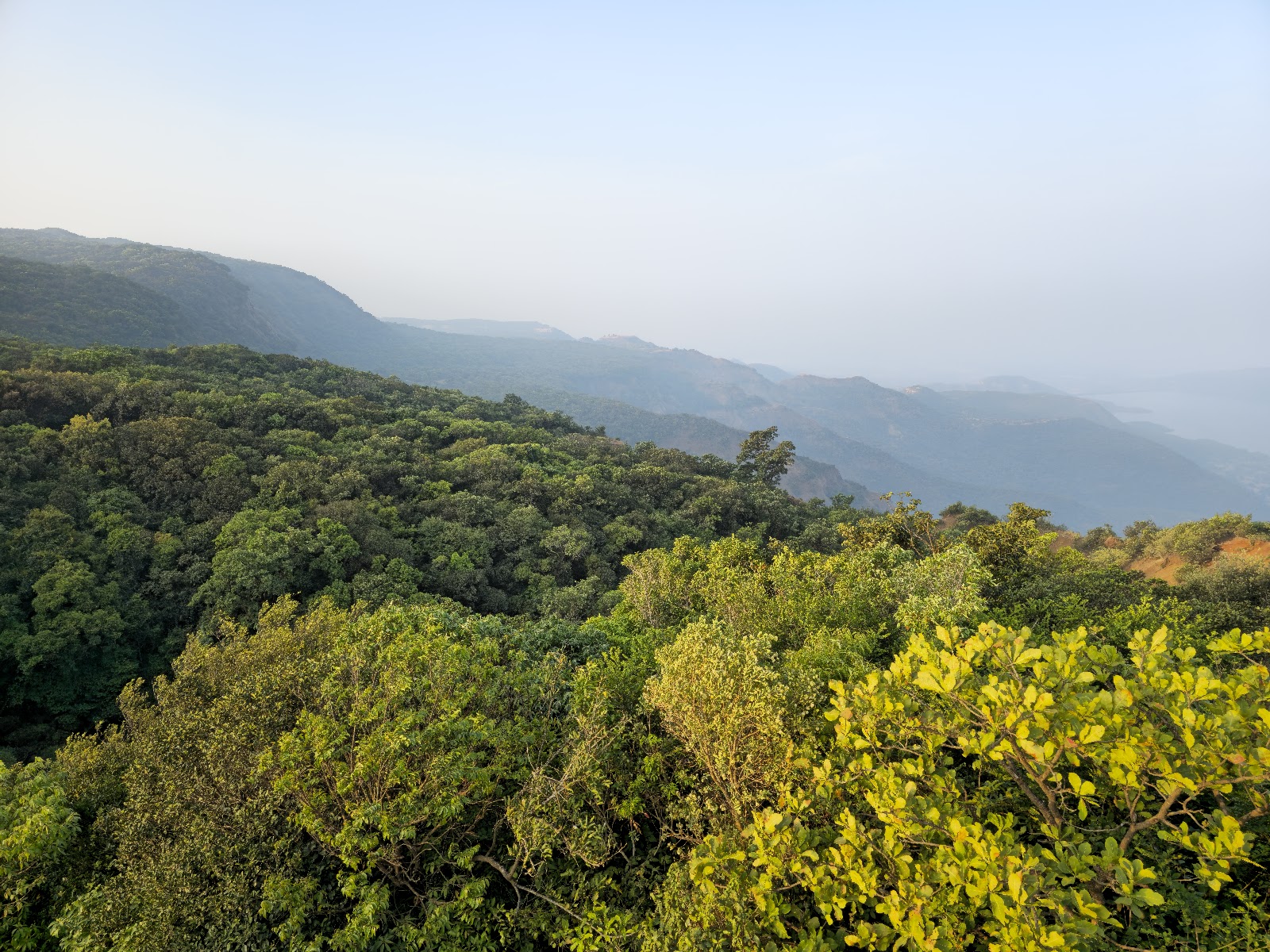 Radhanagari Wildlife Sanctuary