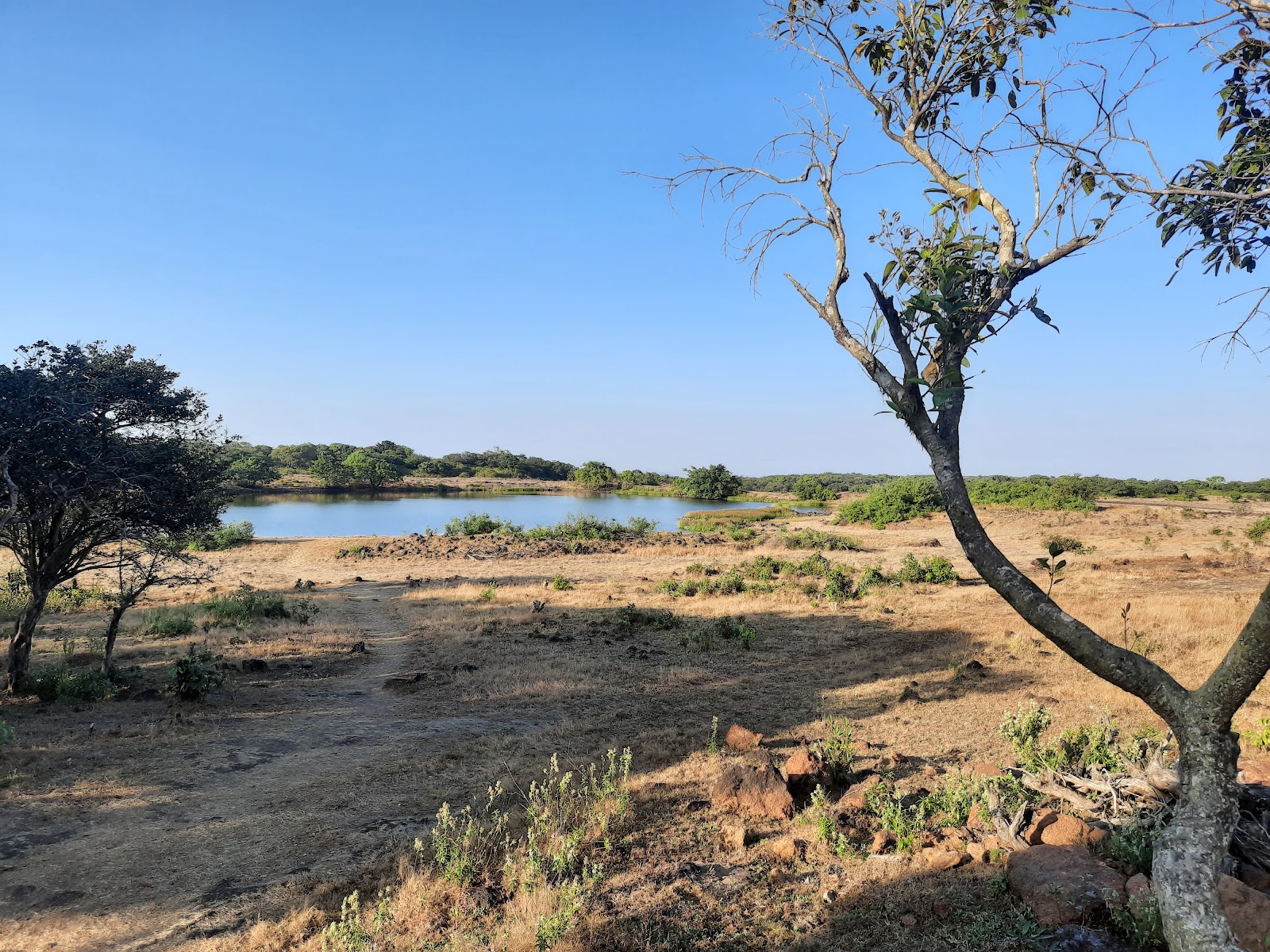 Radhanagari Wildlife Sanctuary