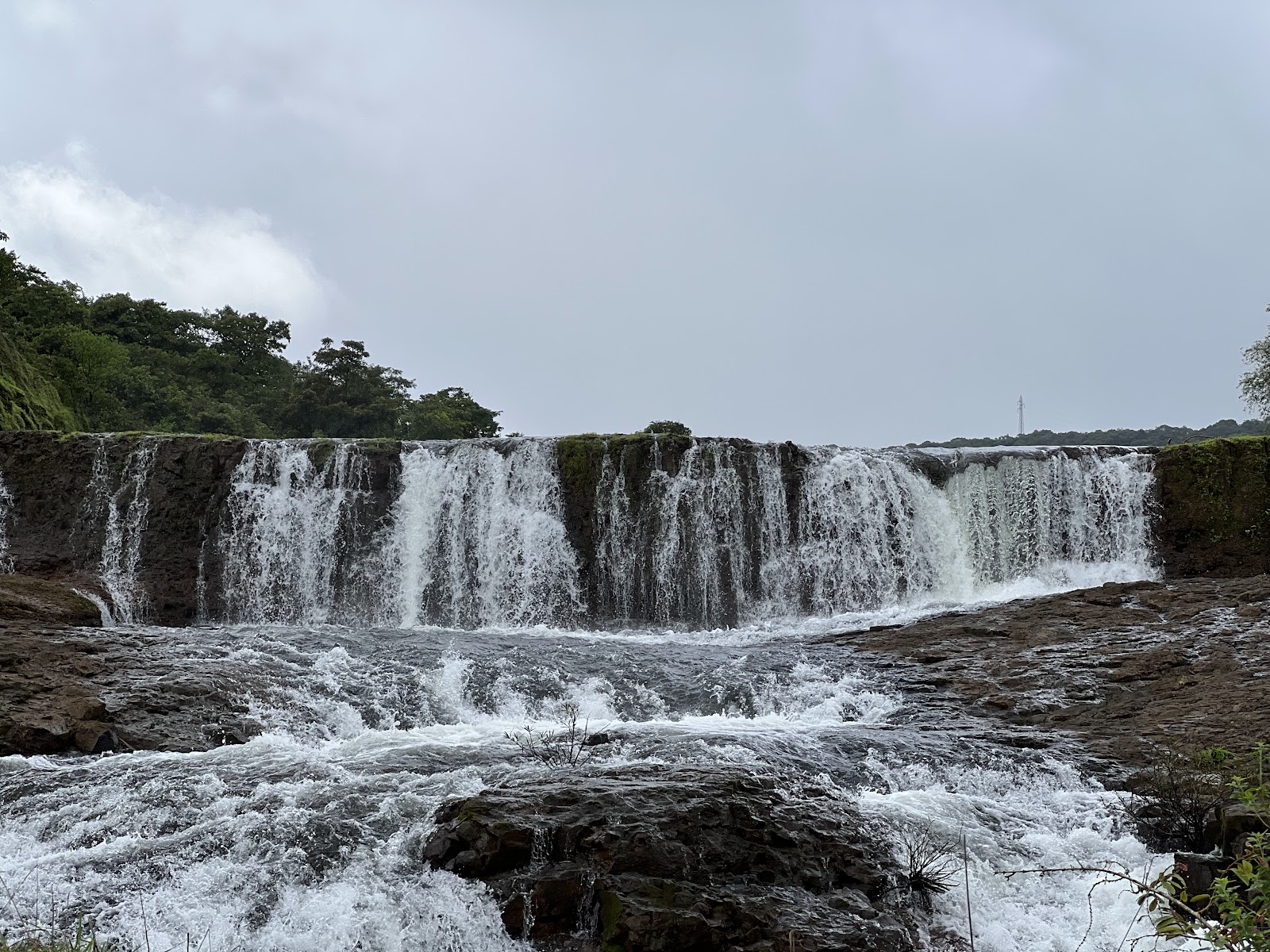 Radhanagari Wildlife Sanctuary
