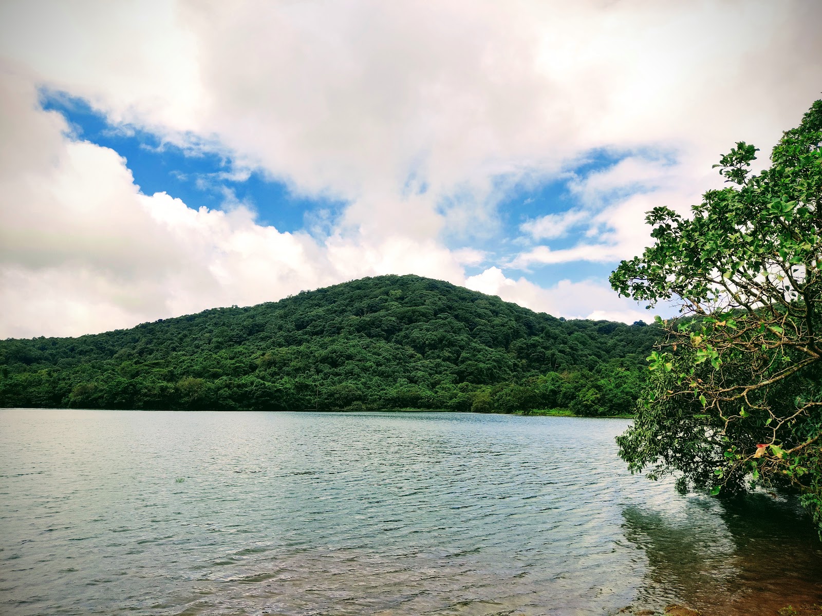 Radhanagari Wildlife Sanctuary