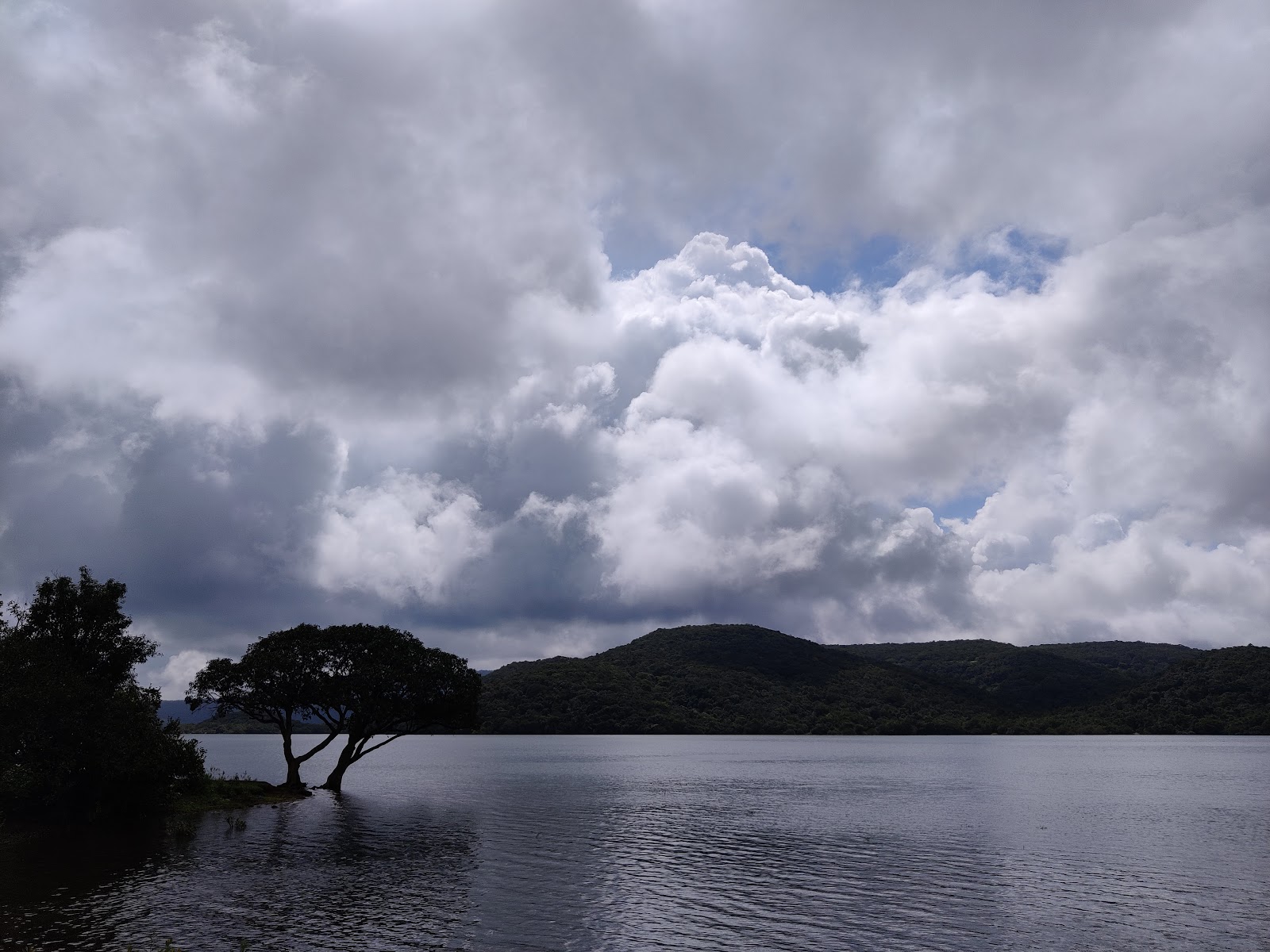 Radhanagari Wildlife Sanctuary