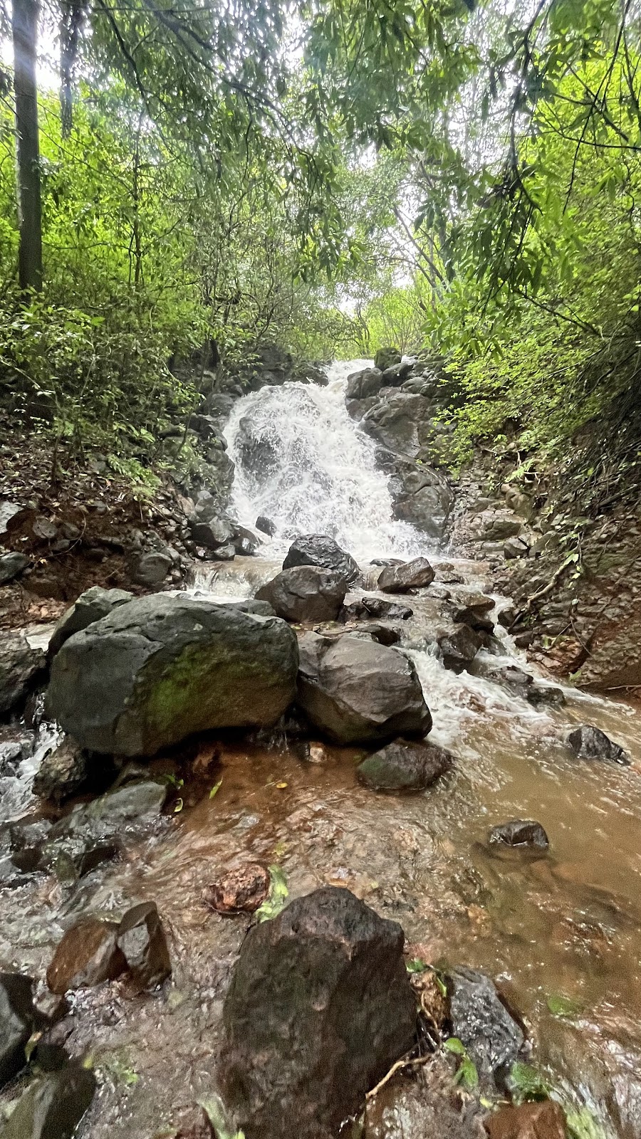 Radhanagari Wildlife Sanctuary