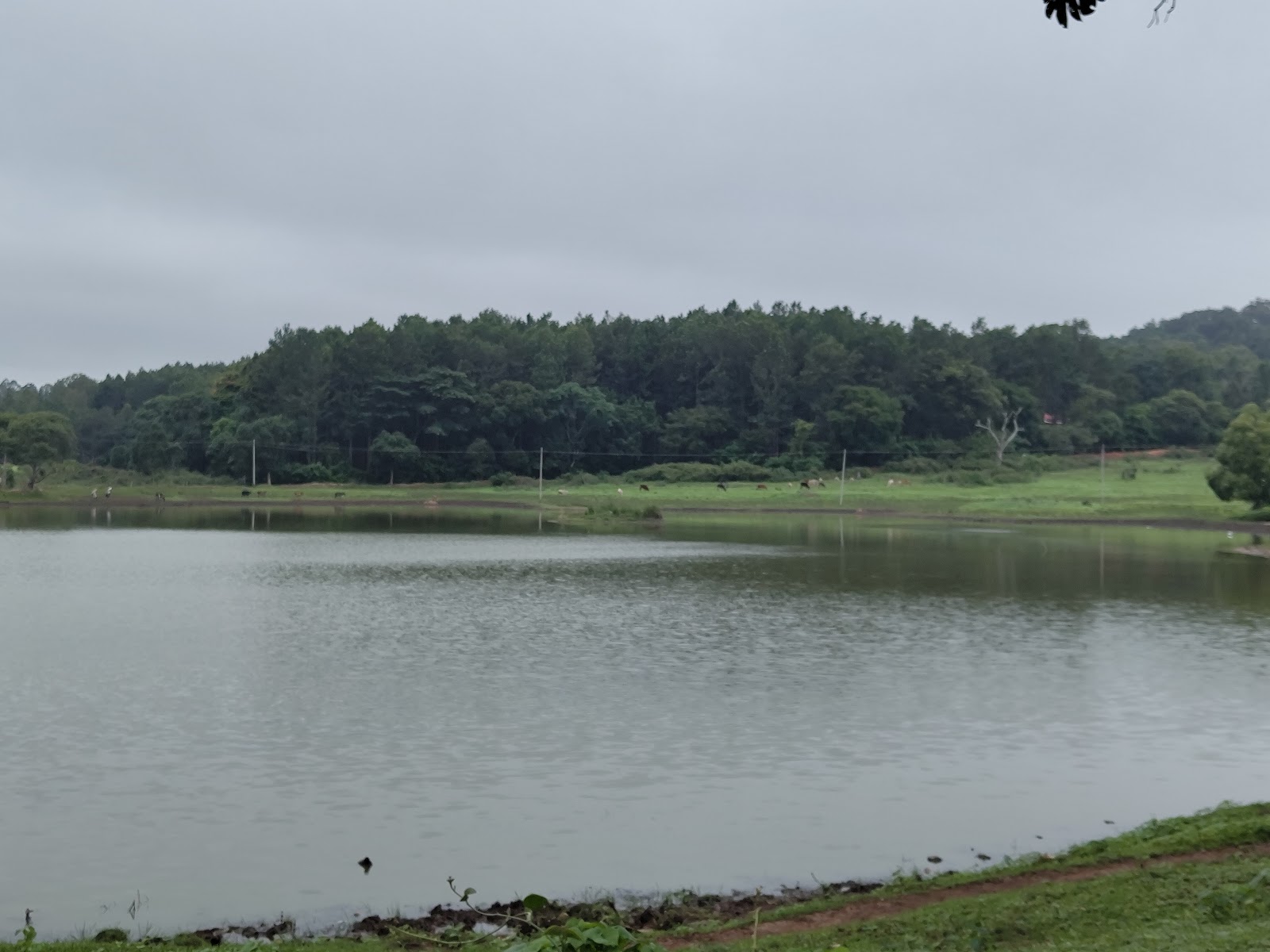 Biligiri Rangan Hills