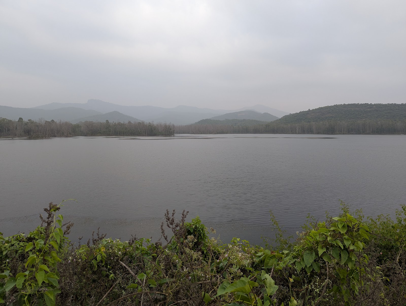 Biligiri Rangan Hills