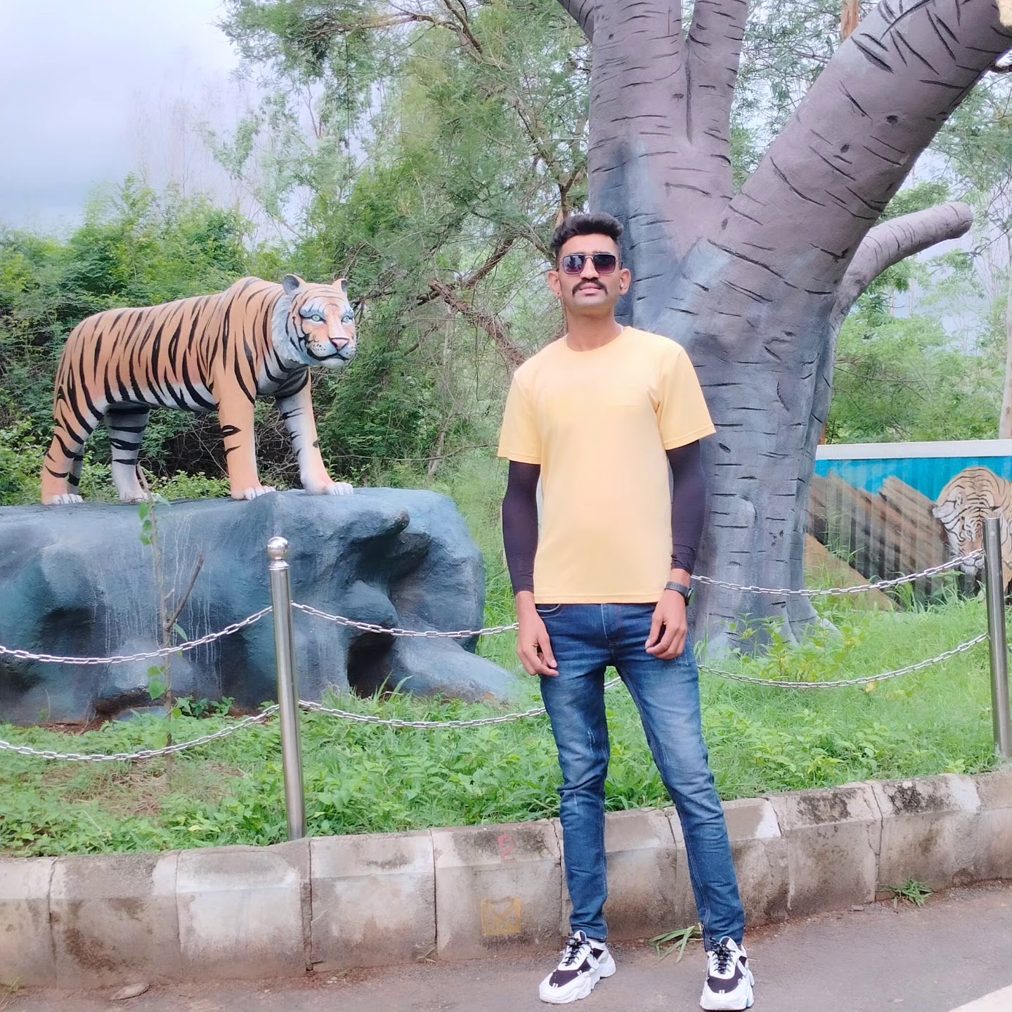 Biligiri Rangan Hills