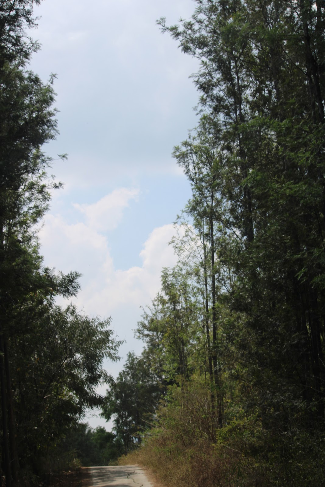 Karnataka State Highway 57