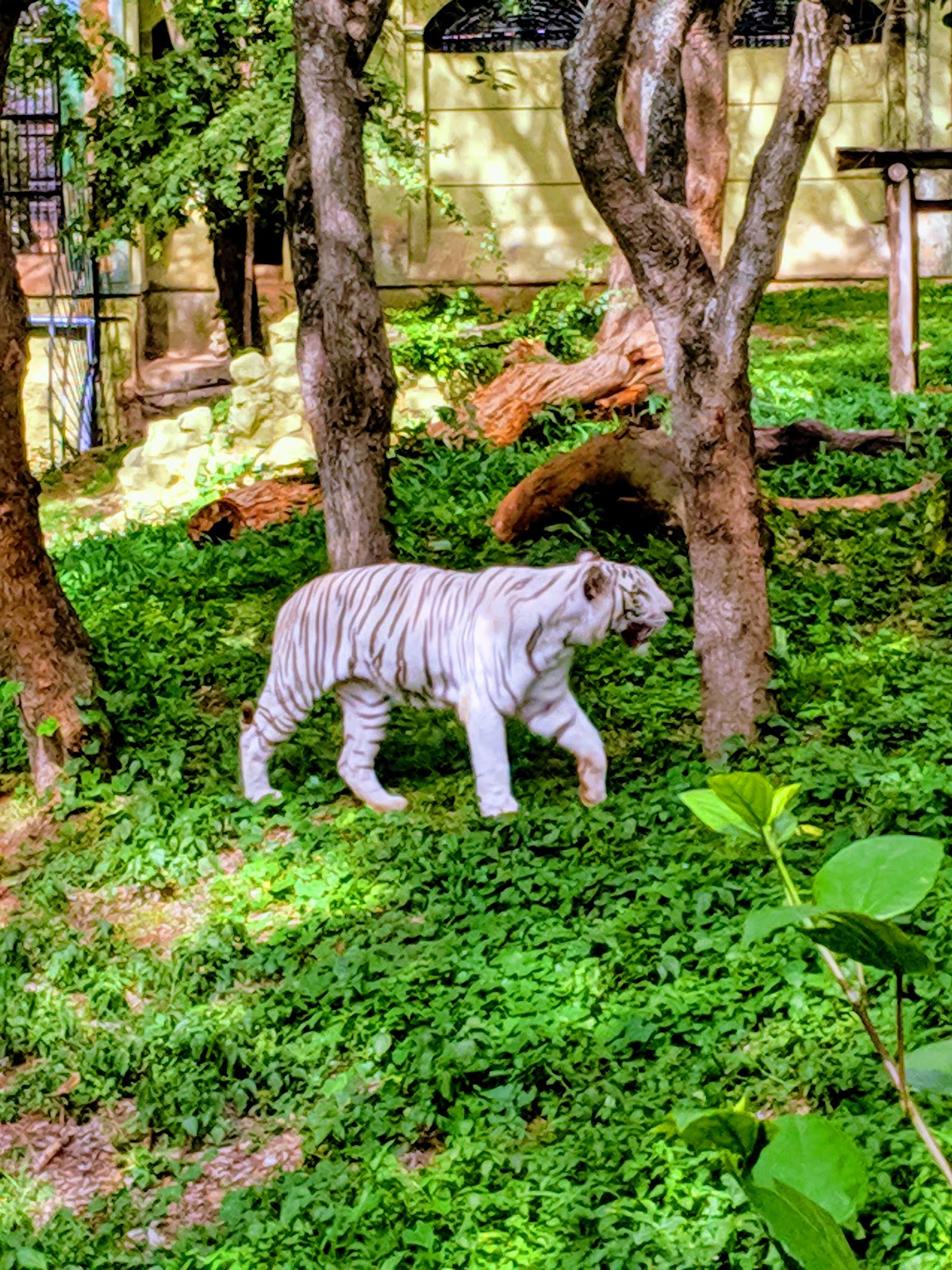 Mysore Zoo