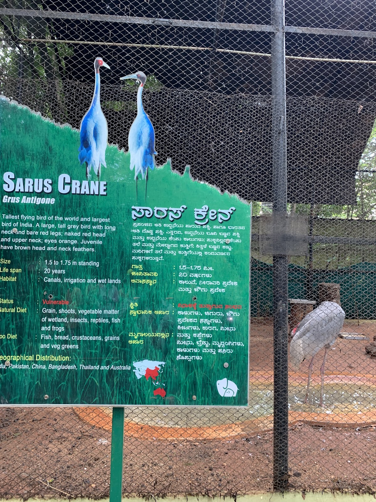 Mysore Zoo
