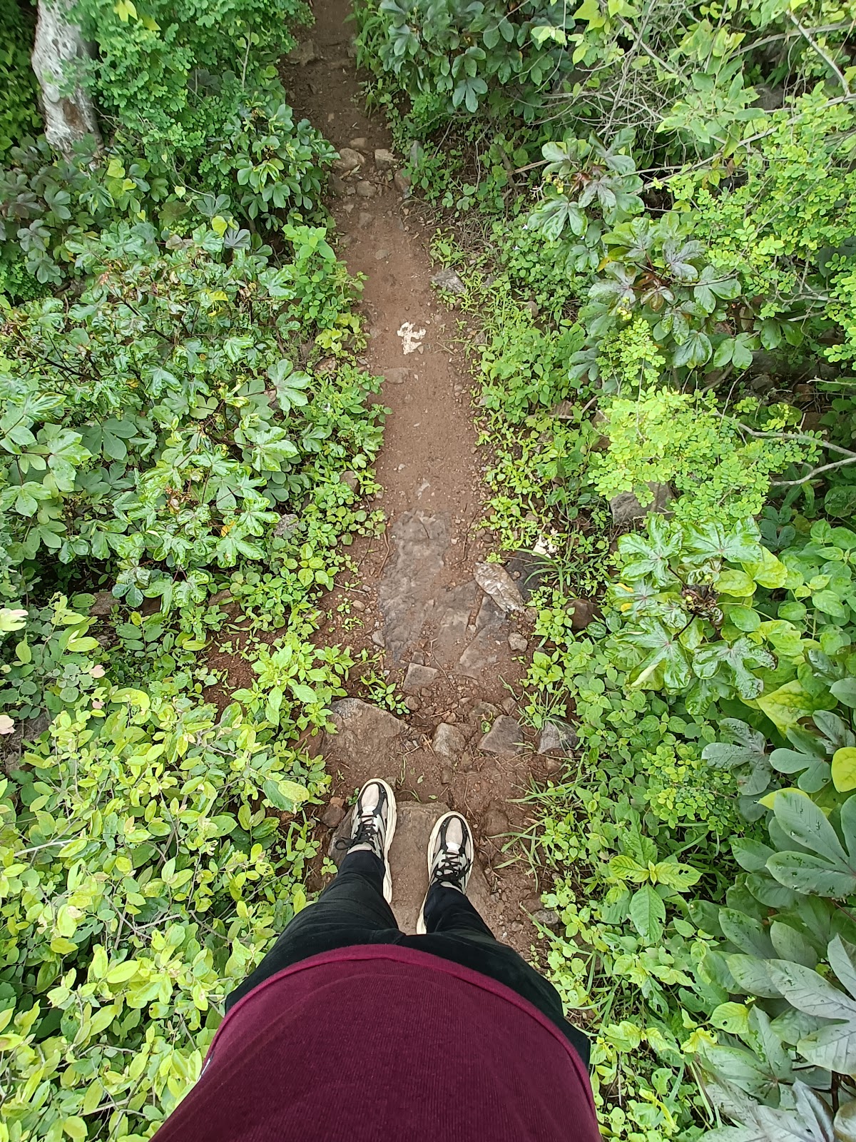 Kondapalli Hill Viewpoint
