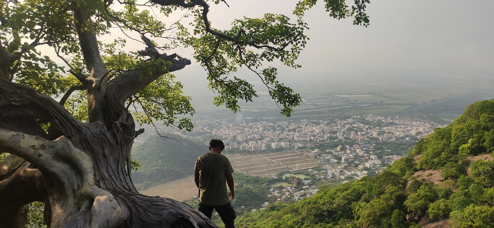 Landscape Walk Route