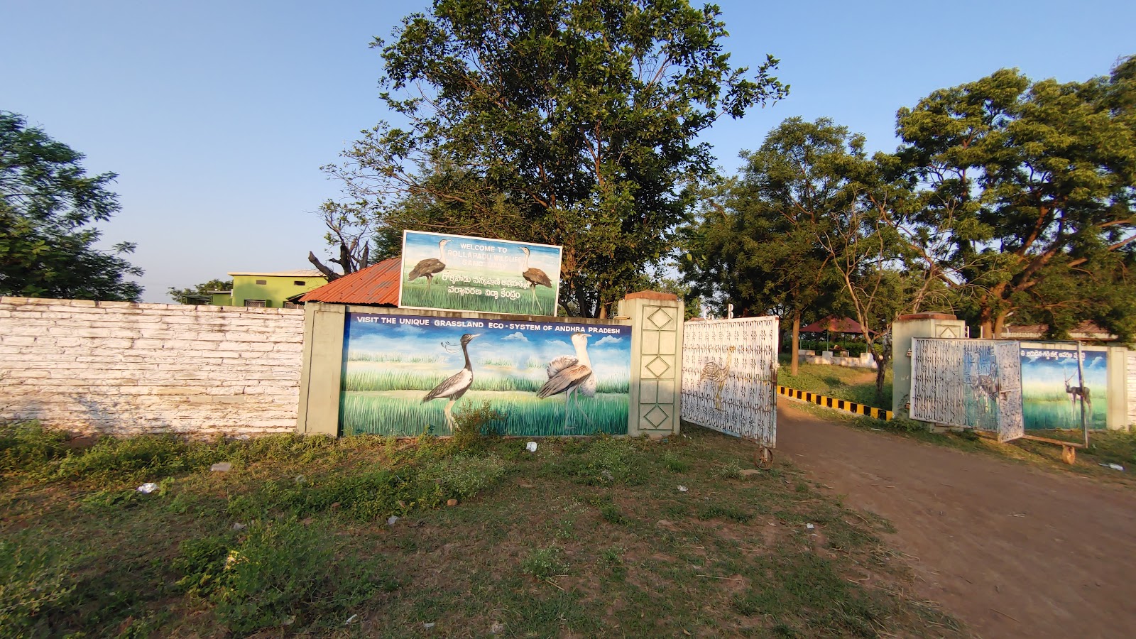 Rollapadu Wildlife Sanctuary