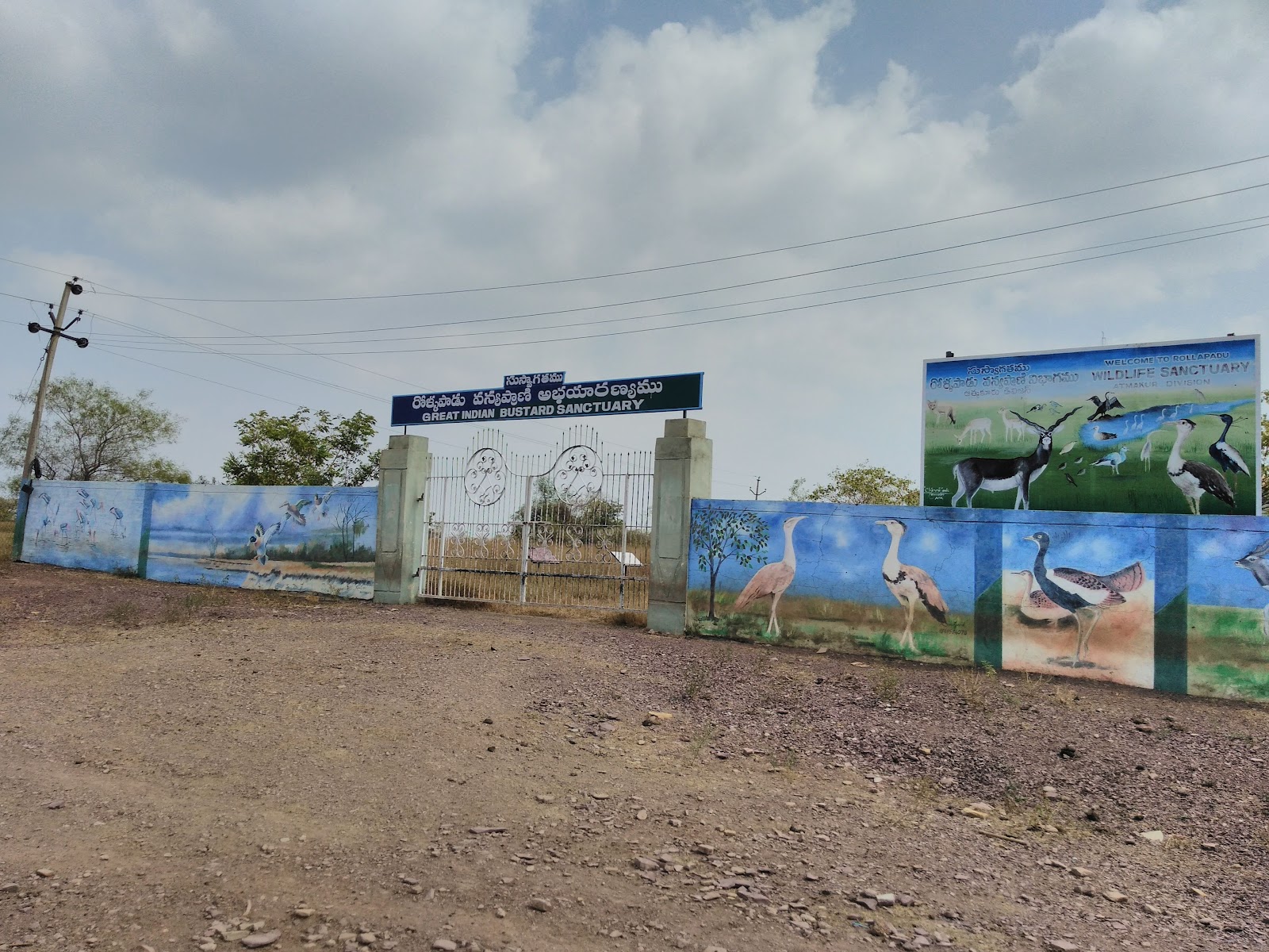 Rollapadu Wildlife Sanctuary