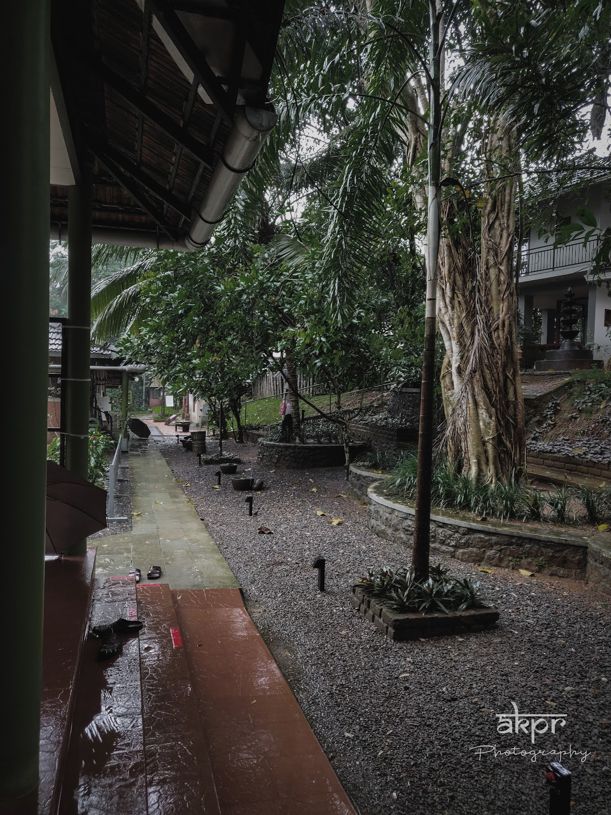 Ayurvedic Centers