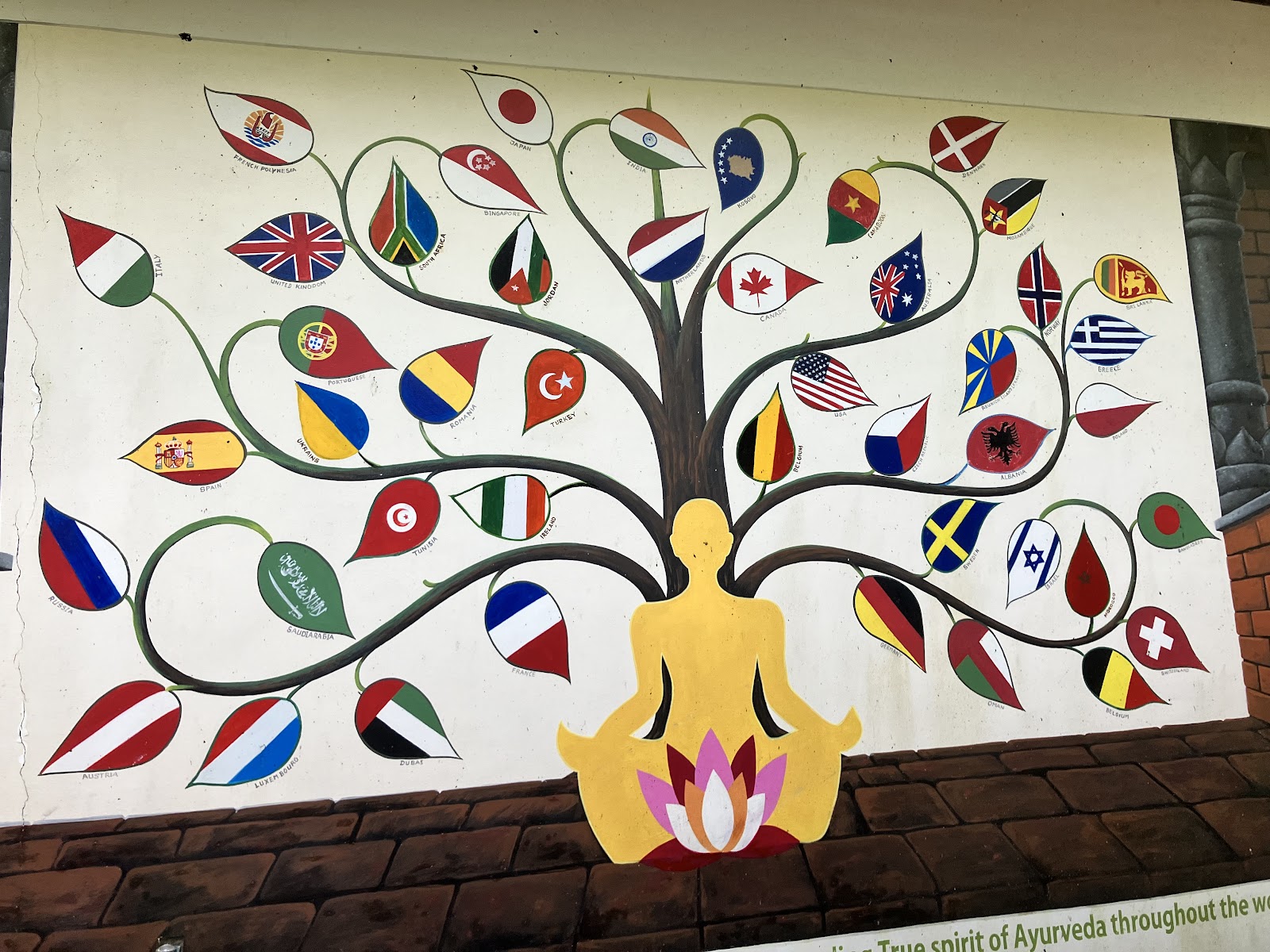 Ayurvedic Centers