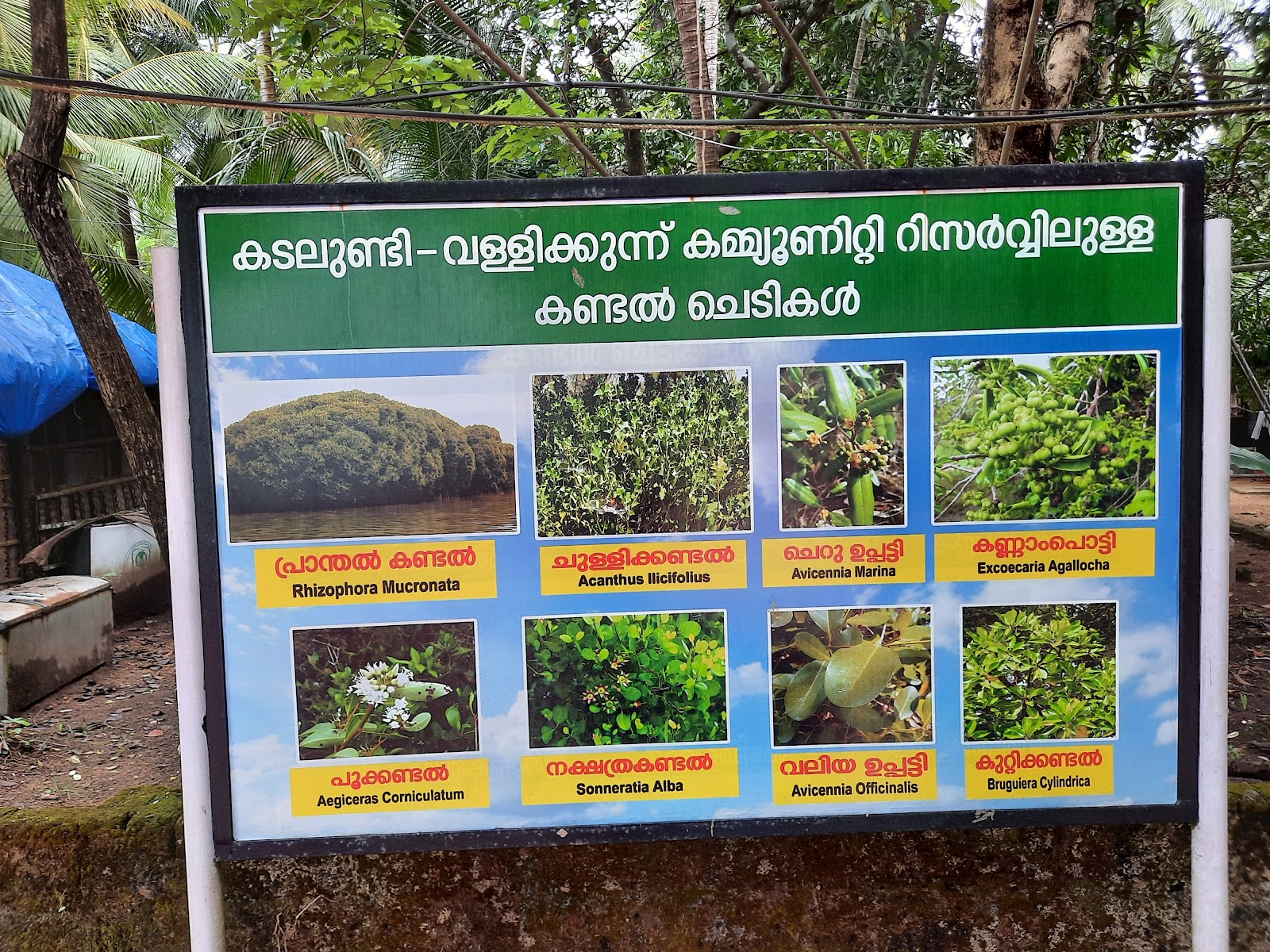 Bird Sanctuary