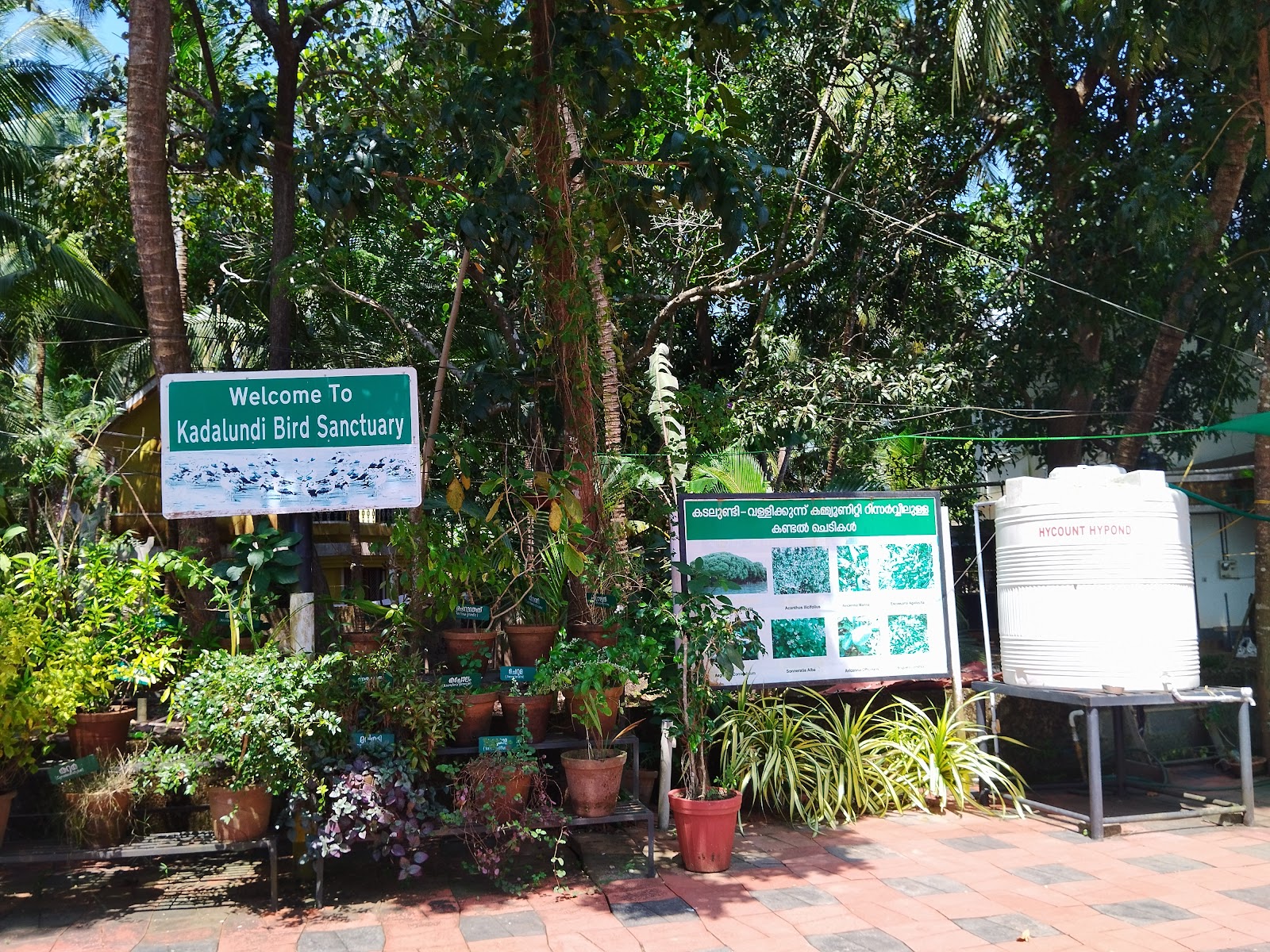 Bird Sanctuary