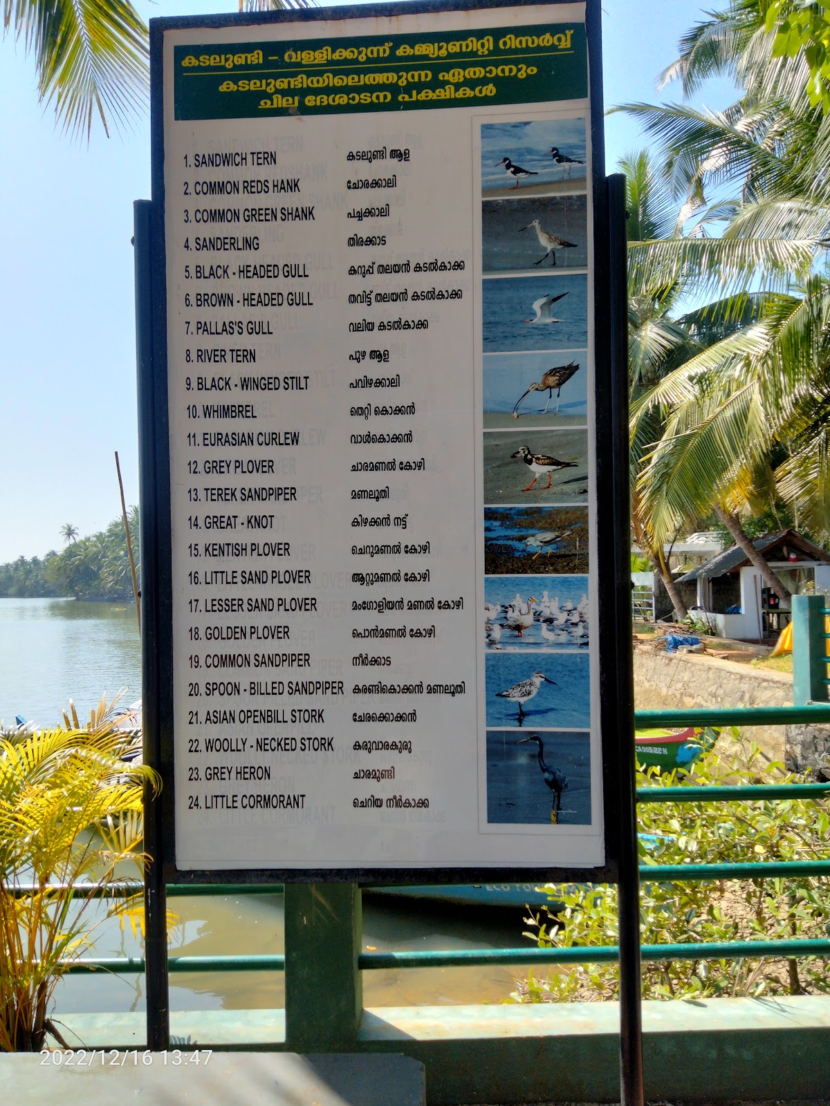 Bird Sanctuary