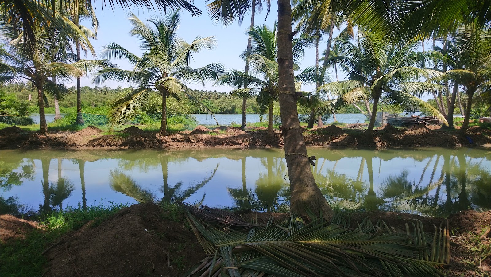 Bird Sanctuary