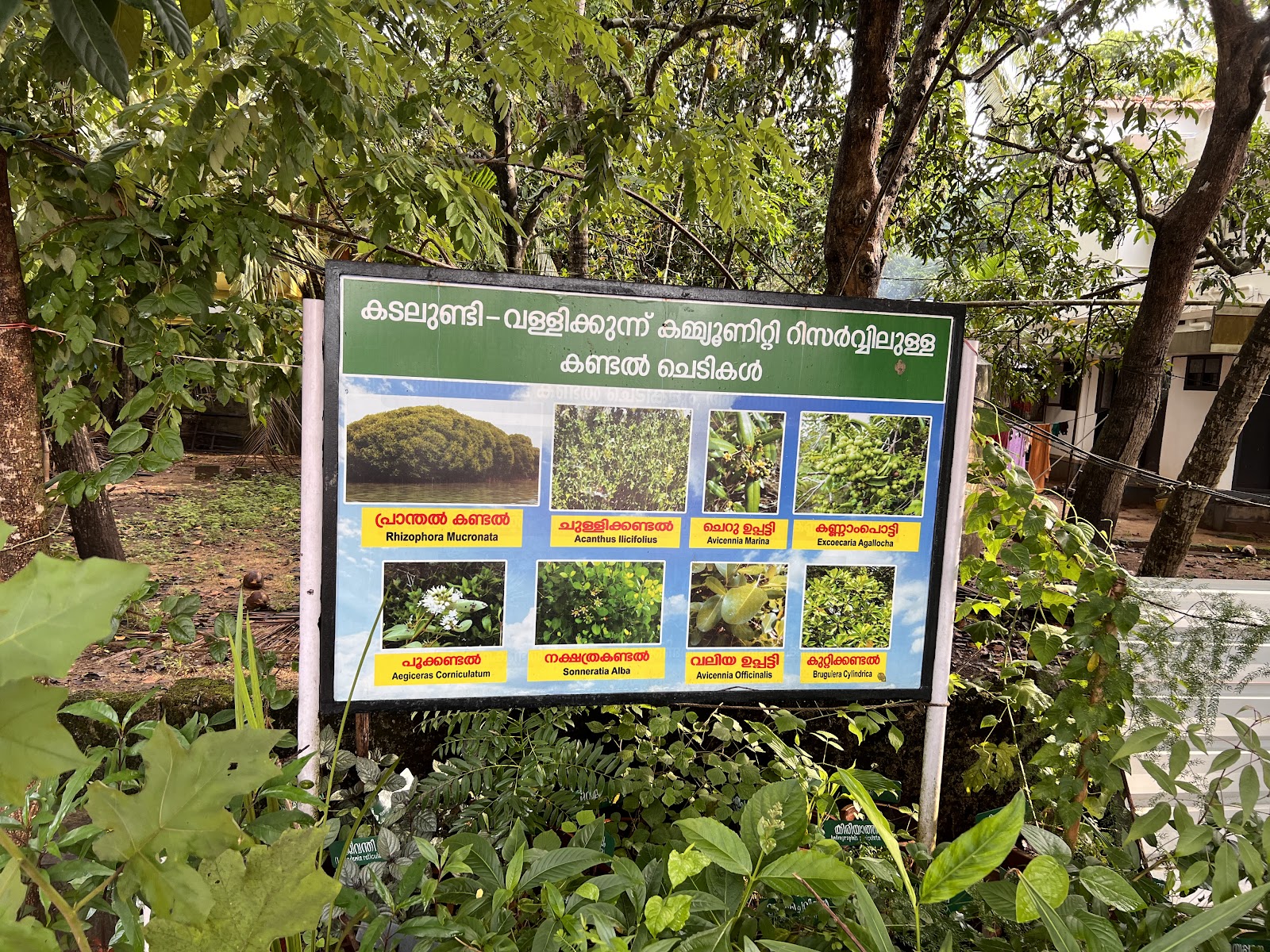 Bird Sanctuary