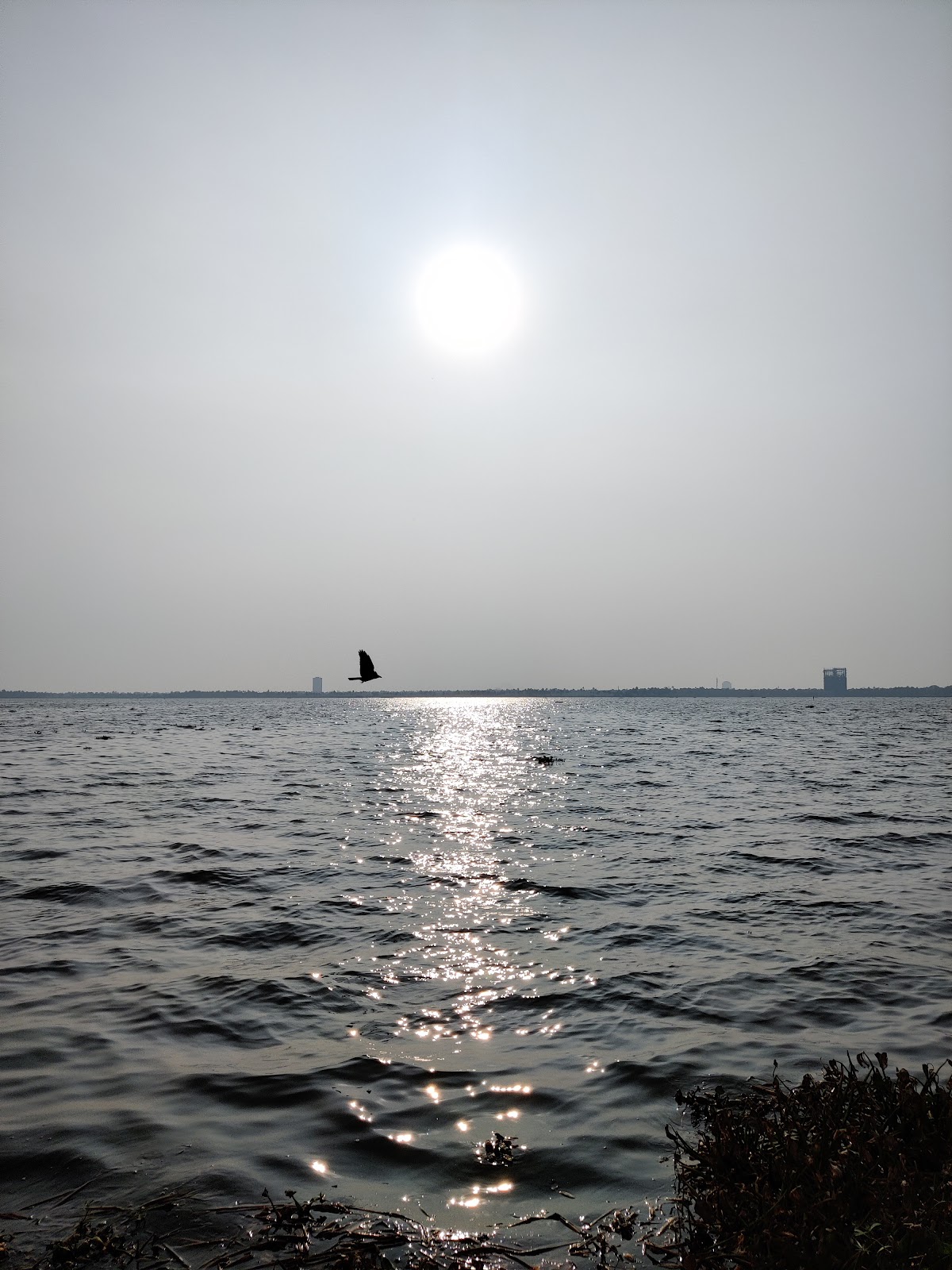 Fishing Spots