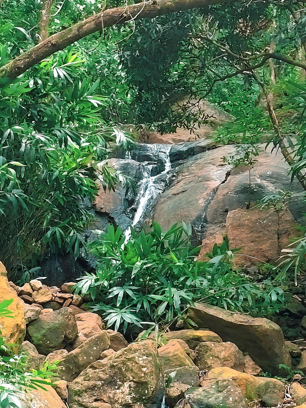 Nature Trails