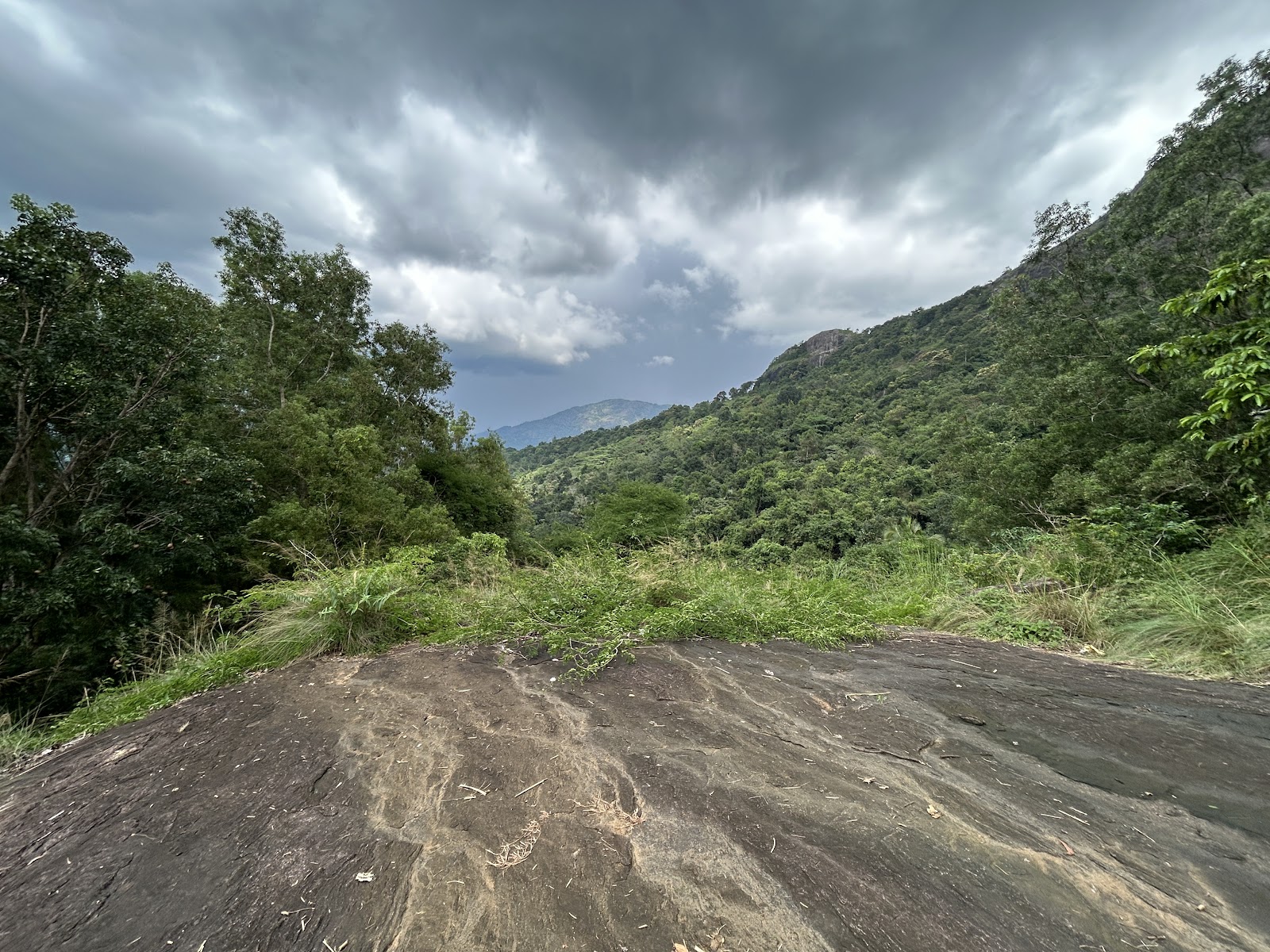 Nature Trails