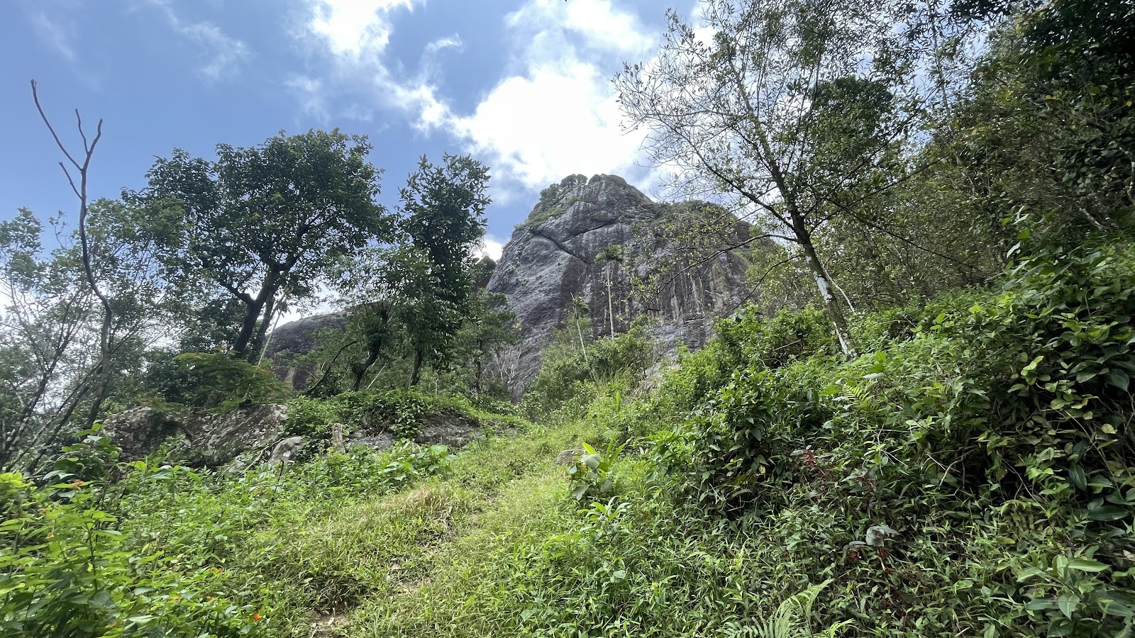 Nature Trails