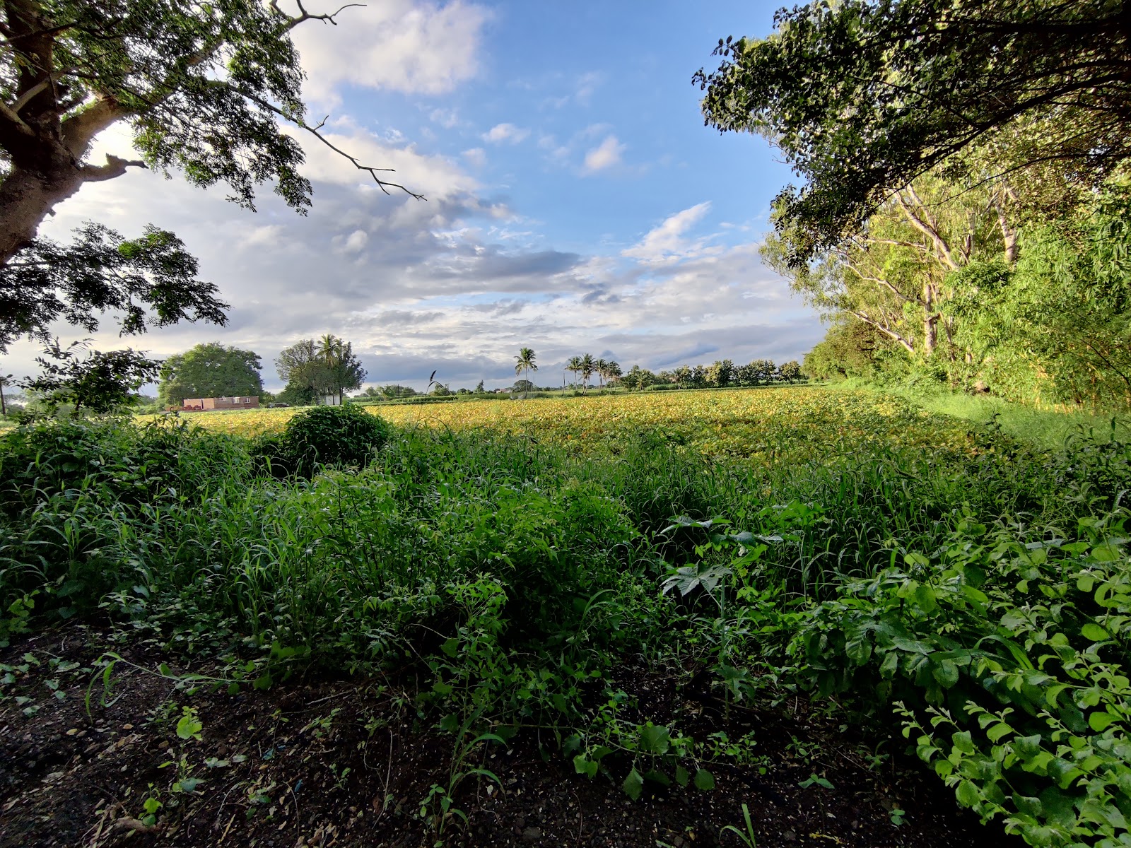 Riverside Park Kopargaon