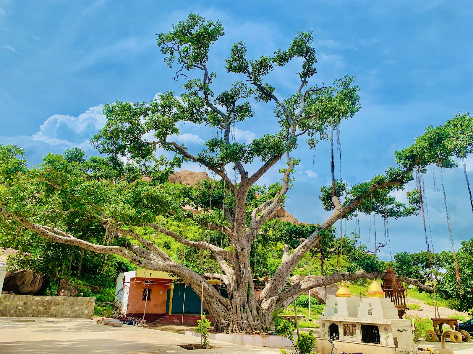 Male Malleshwara Temple