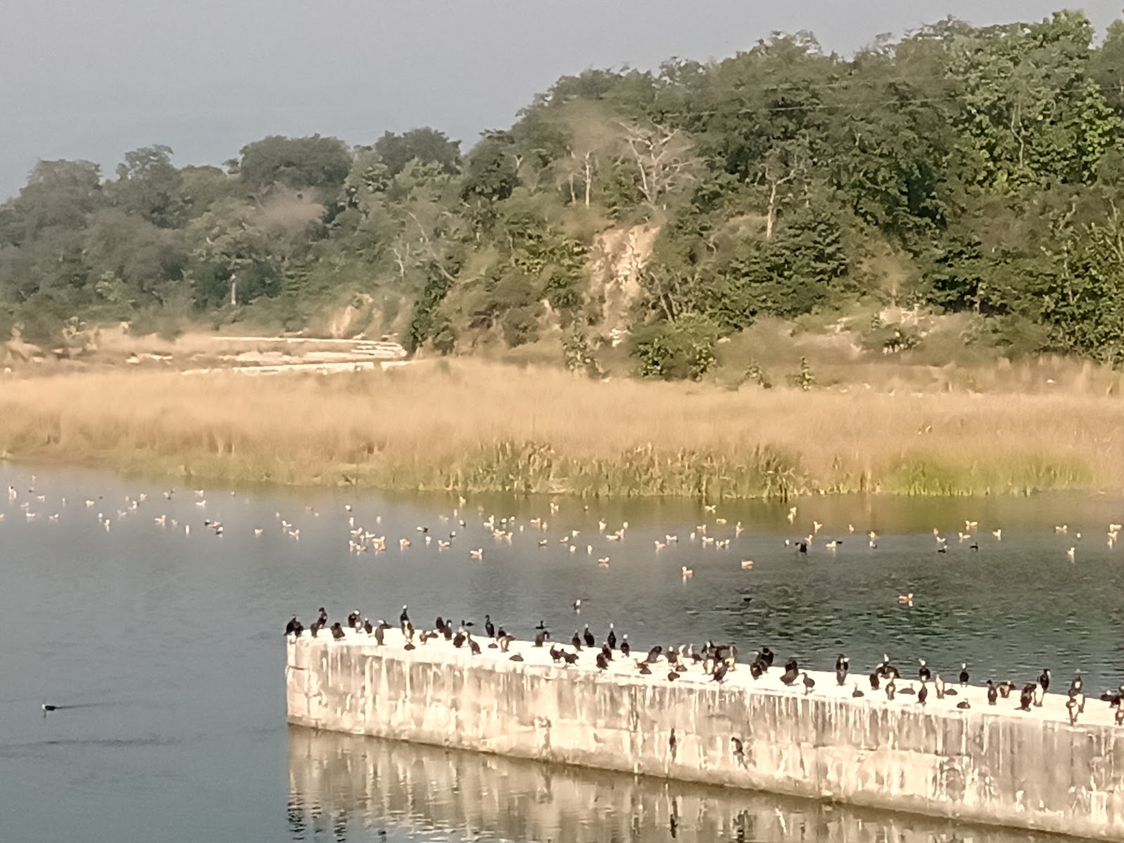 Kosi Riverfront Park