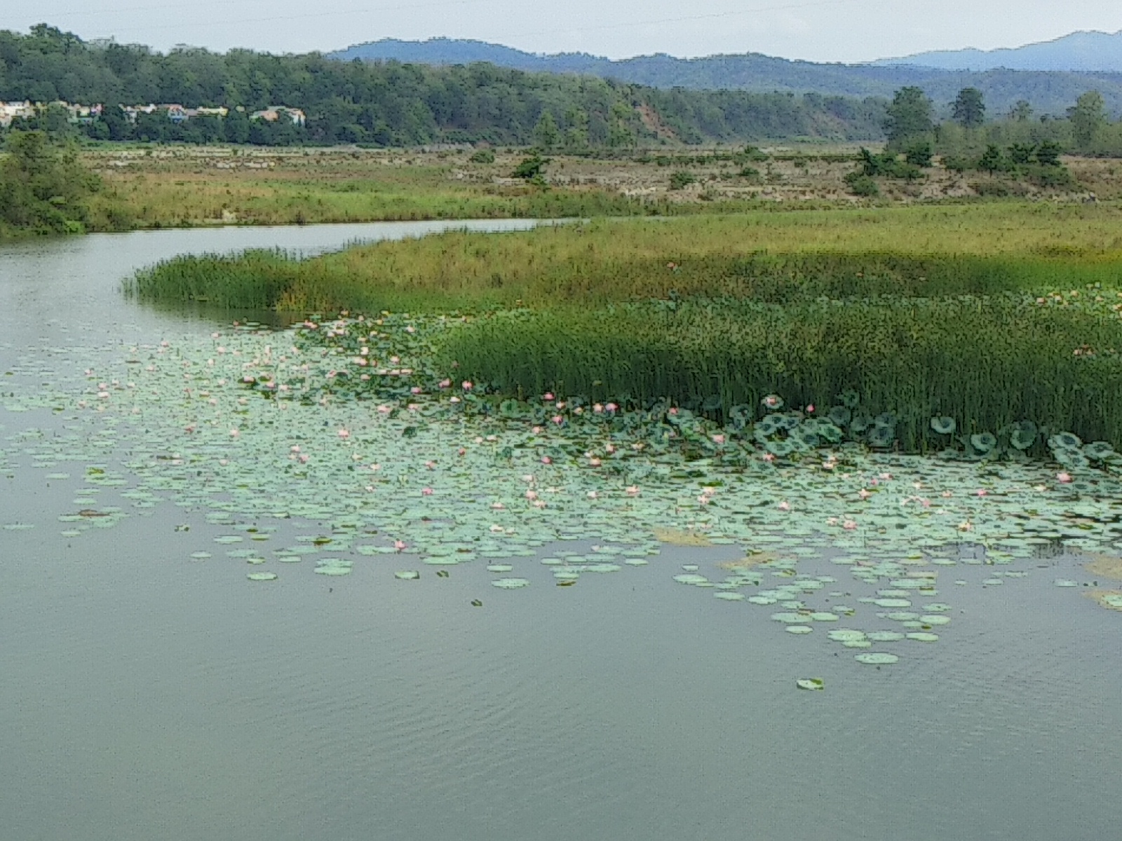 Kosi Riverfront Park