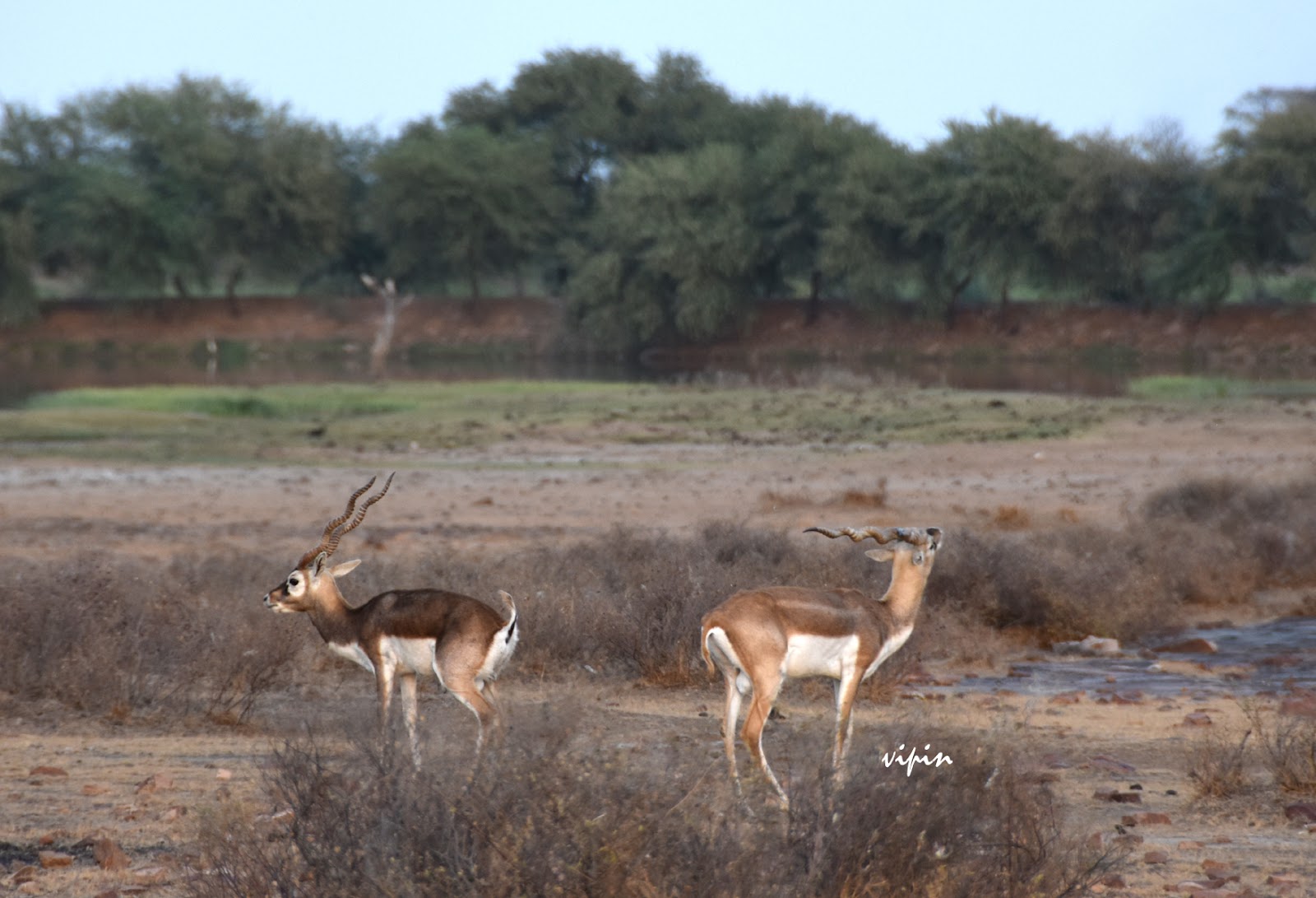 Sorsan Wildlife Sanctuary