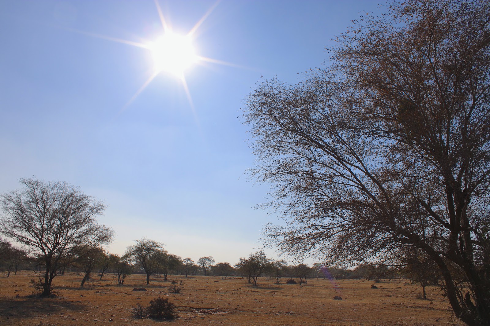 Garadia Mahadev Temple