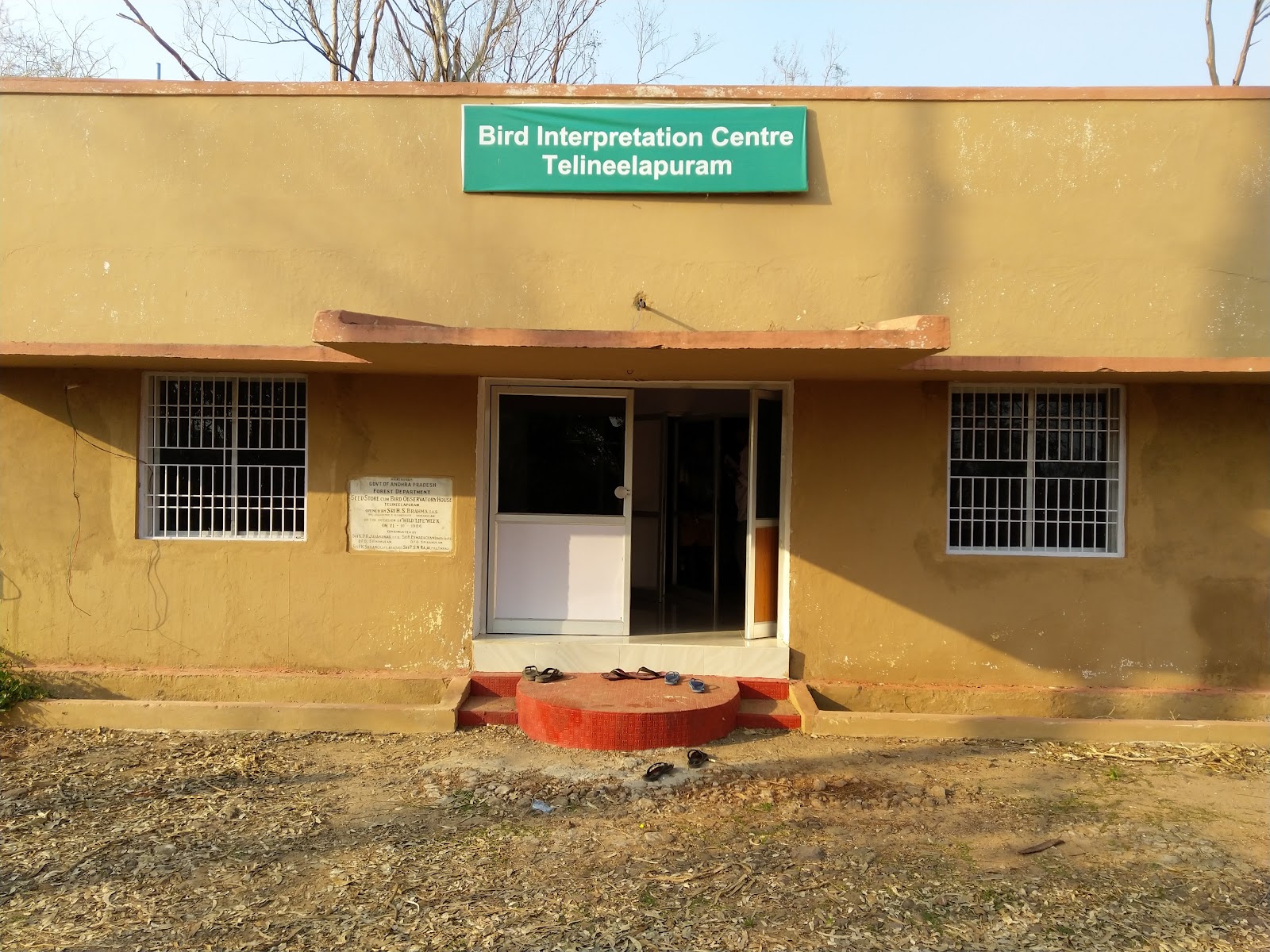 Birdwatching Wetlands
