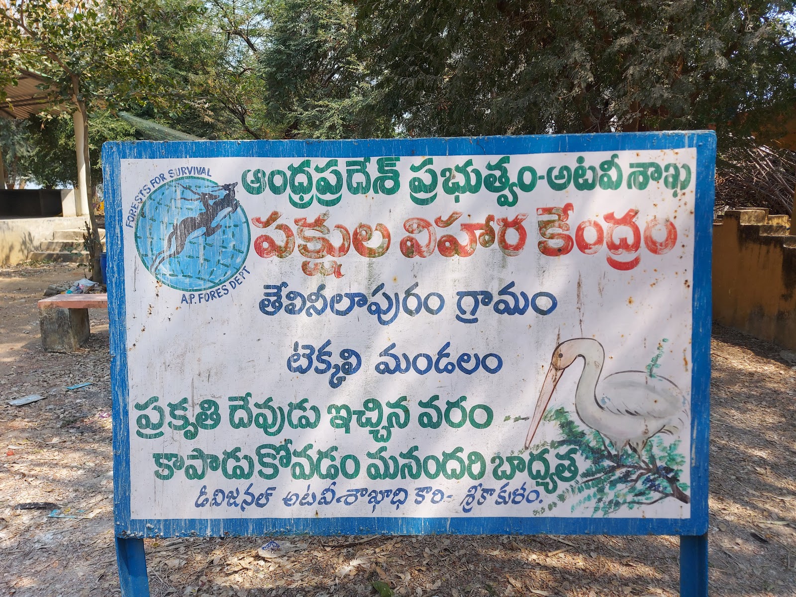 Birdwatching Wetlands