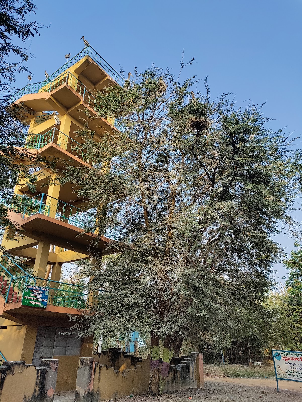 Birdwatching Wetlands