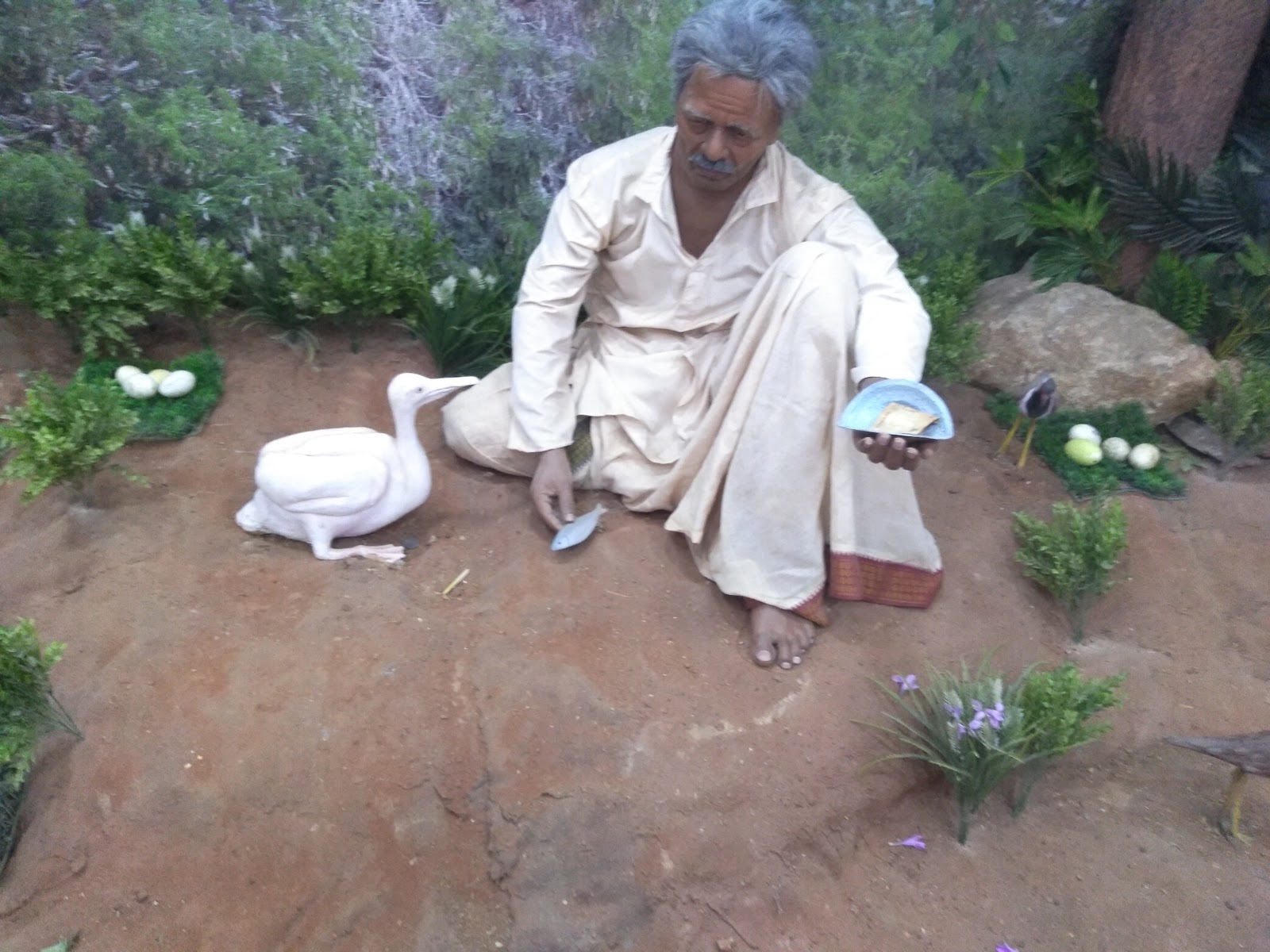 Birdwatching Wetlands