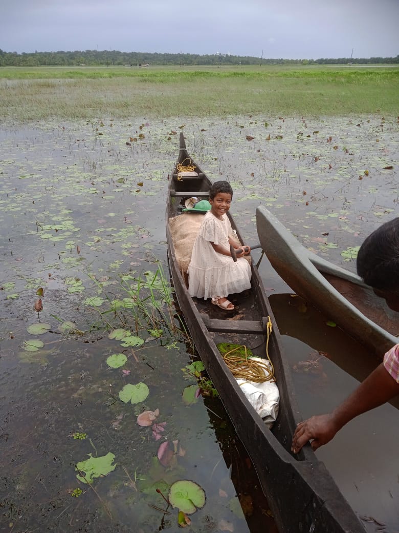 Paddy Fields Viewpoint