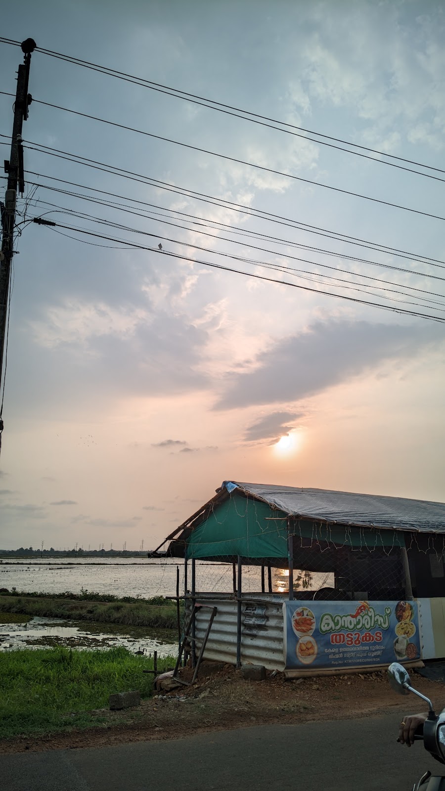 Paddy Fields Viewpoint