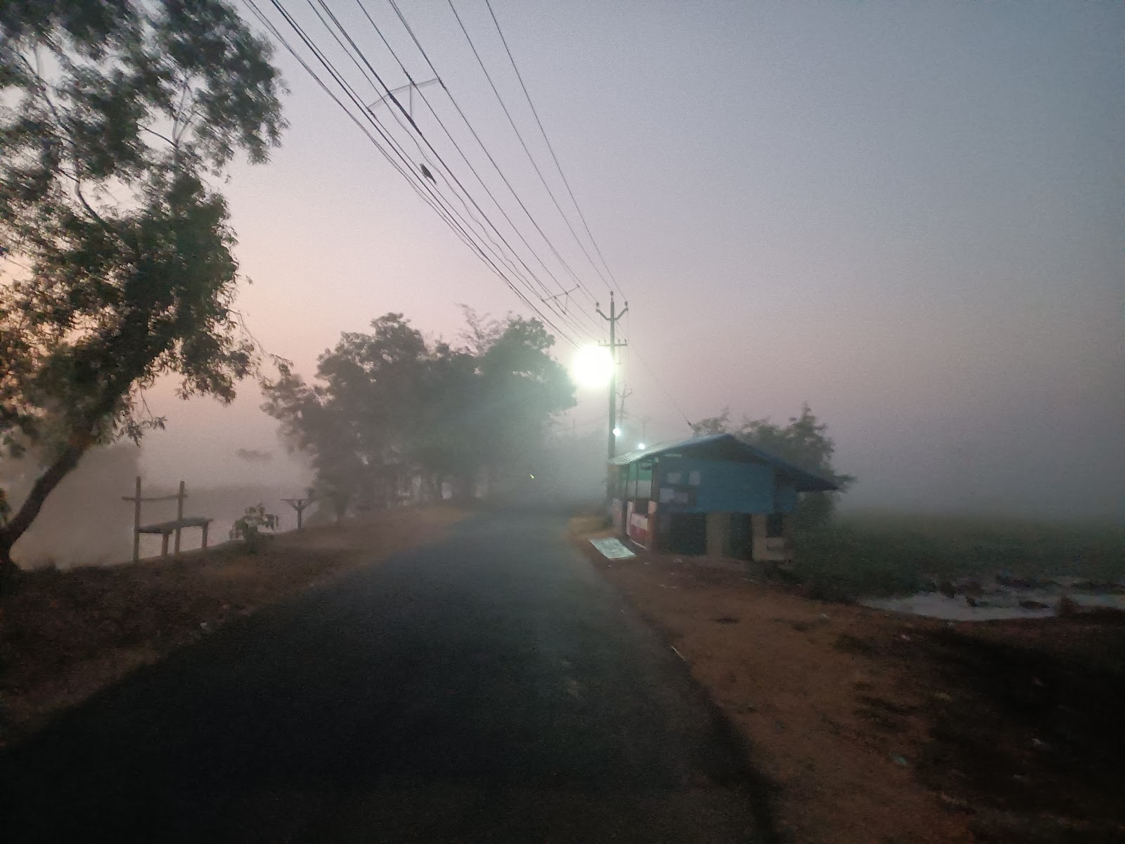 Paddy Fields Viewpoint